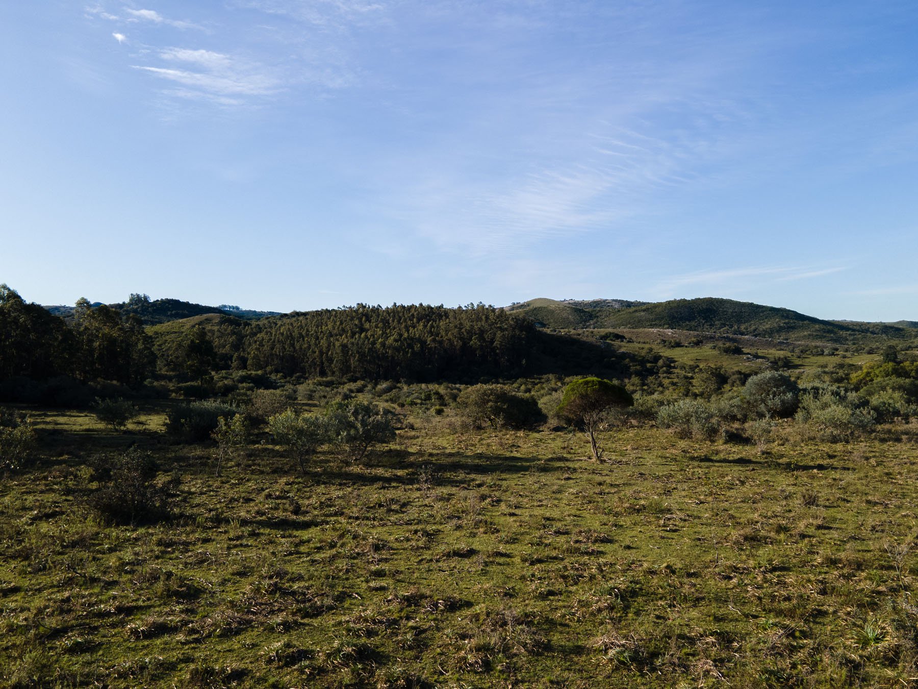  63.25 acres farm in Pueblo Edén. - 物件實景
