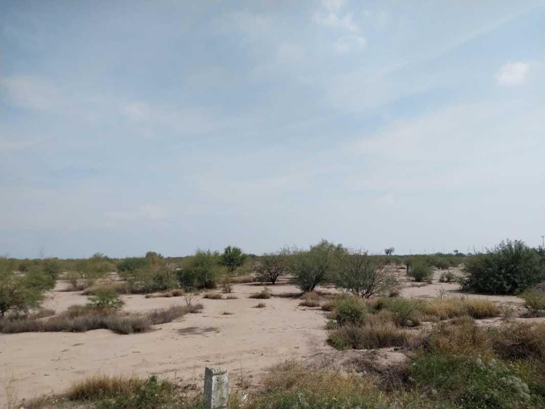 CARRETERA TORREON - SAN PEDRO, Torreón, Coahuila de Zaragoza, 27416, Mexico, 1 Bedroom Bedrooms, ,Residential,For Sale,CARRETERA TORREON - SAN PEDRO,1143920
