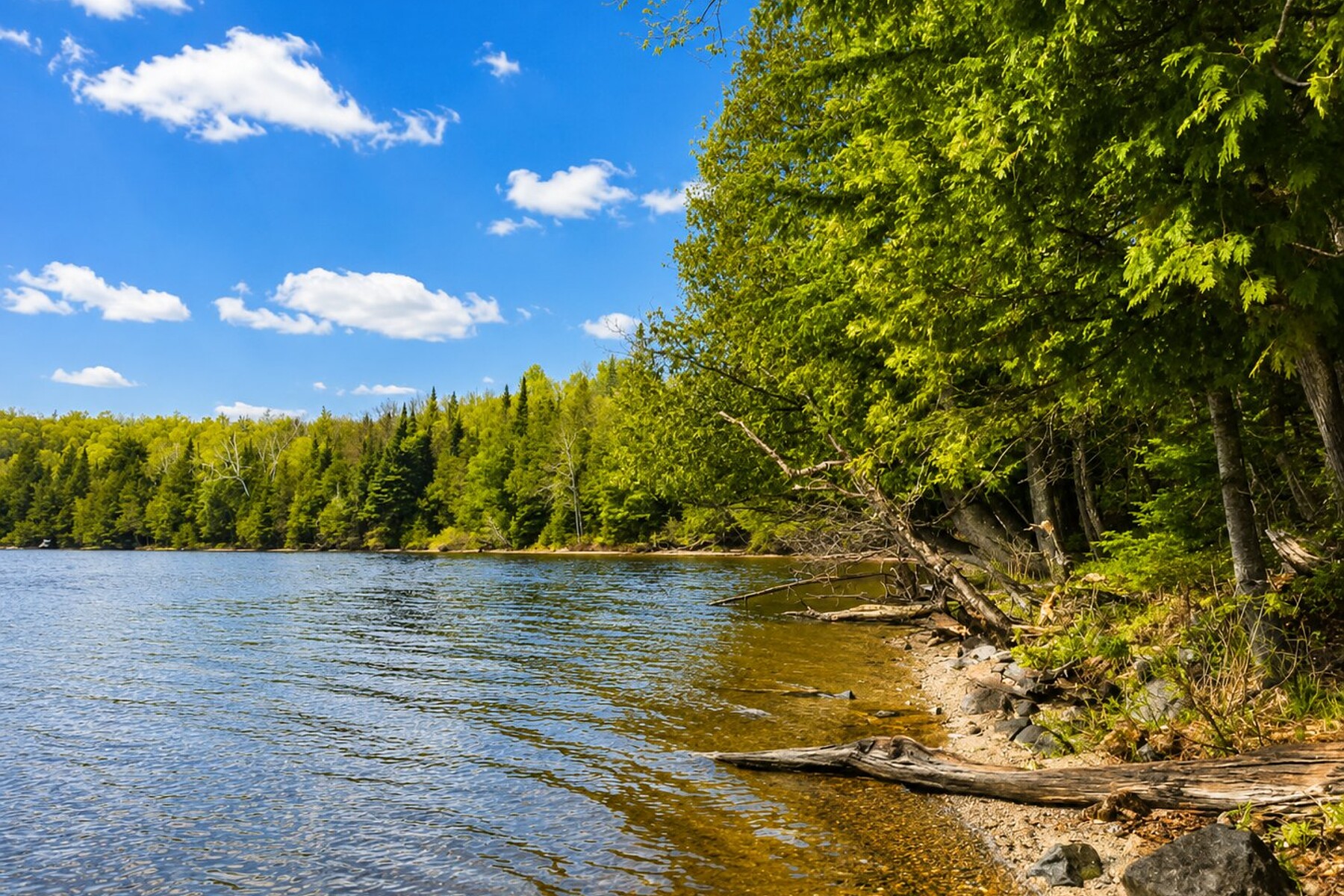  Lac-des-Plages, Outaouais - 物件實景