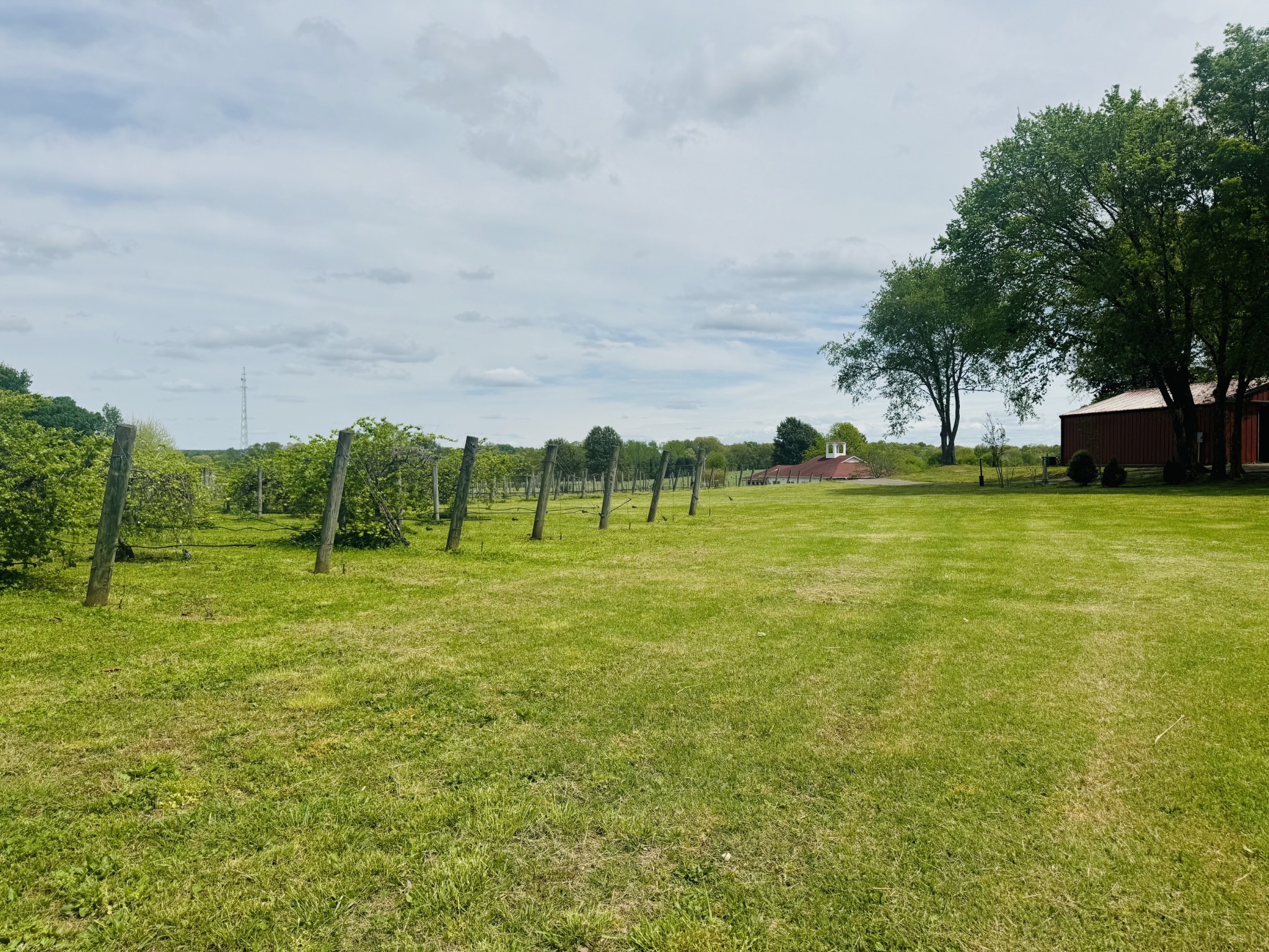 Paris, Tennessee, 38242, United States, ,Residential,For Sale,1996417