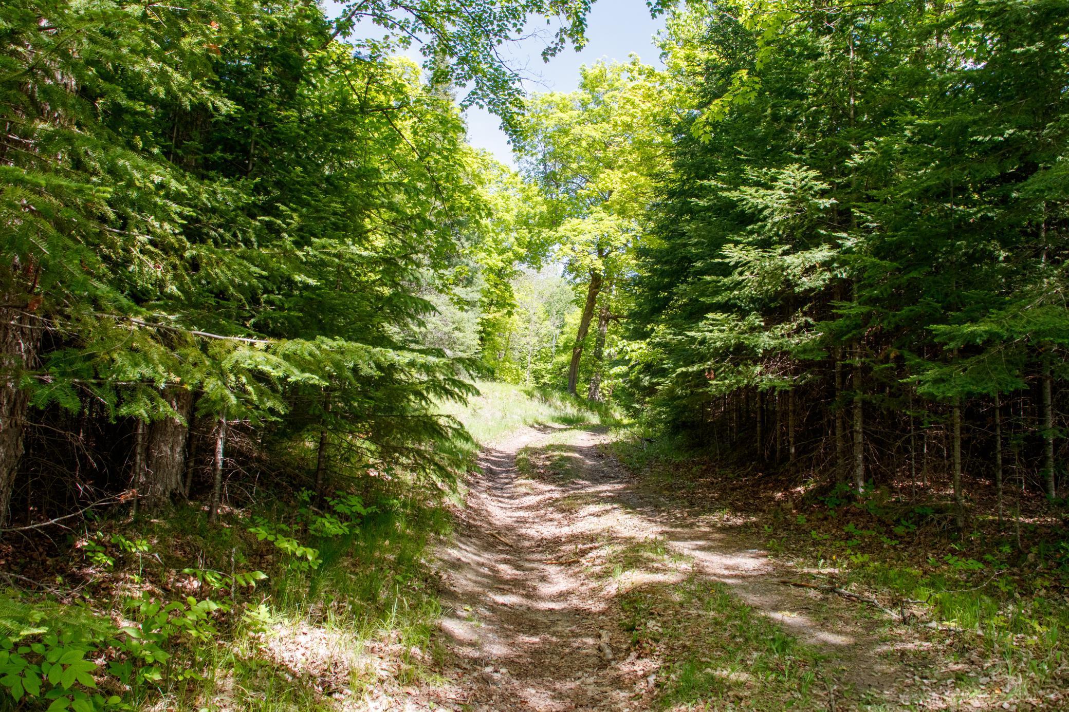 Slater Twp, Minnesota, 56672, United States, ,Land,For Sale,1837224