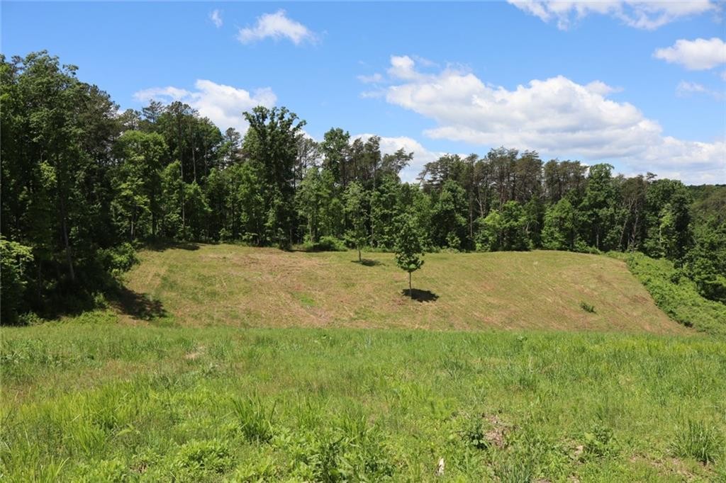 Ellijay, Georgia, 30540, United States, ,Residential,For Sale,1881390
