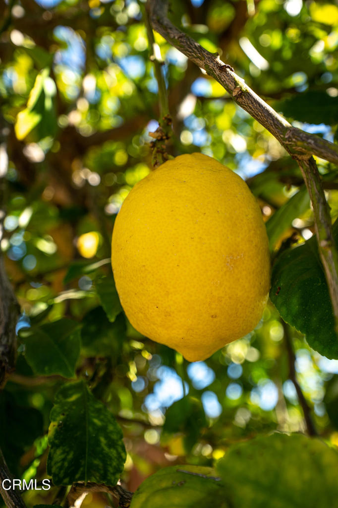 Camarillo, California, 93010, United States, 2 Bedrooms Bedrooms, ,2 BathroomsBathrooms,Residential,For Sale,1982088