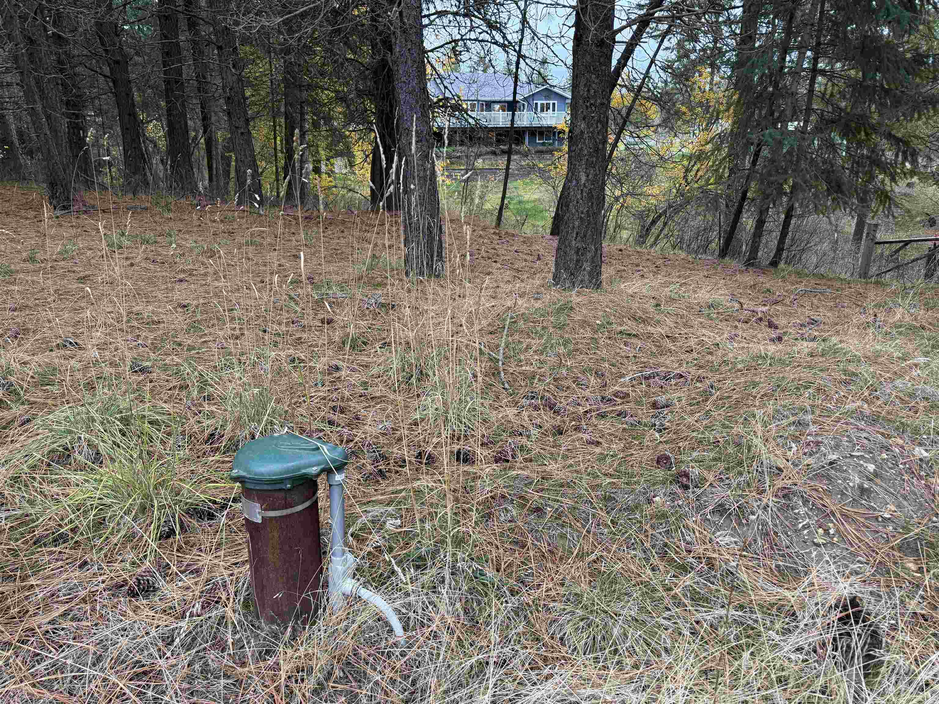 Deer Park, Washington, 99006, United States, 4 Bedrooms Bedrooms, ,3 BathroomsBathrooms,Residential,For Sale,1992007