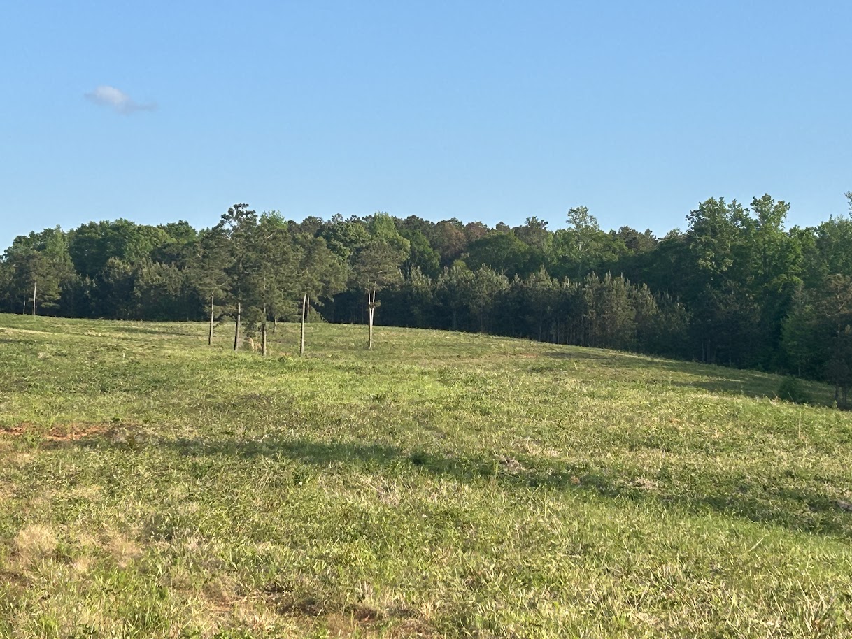 Roopville, Georgia, 30170, United States, ,Residential,For Sale,1780793