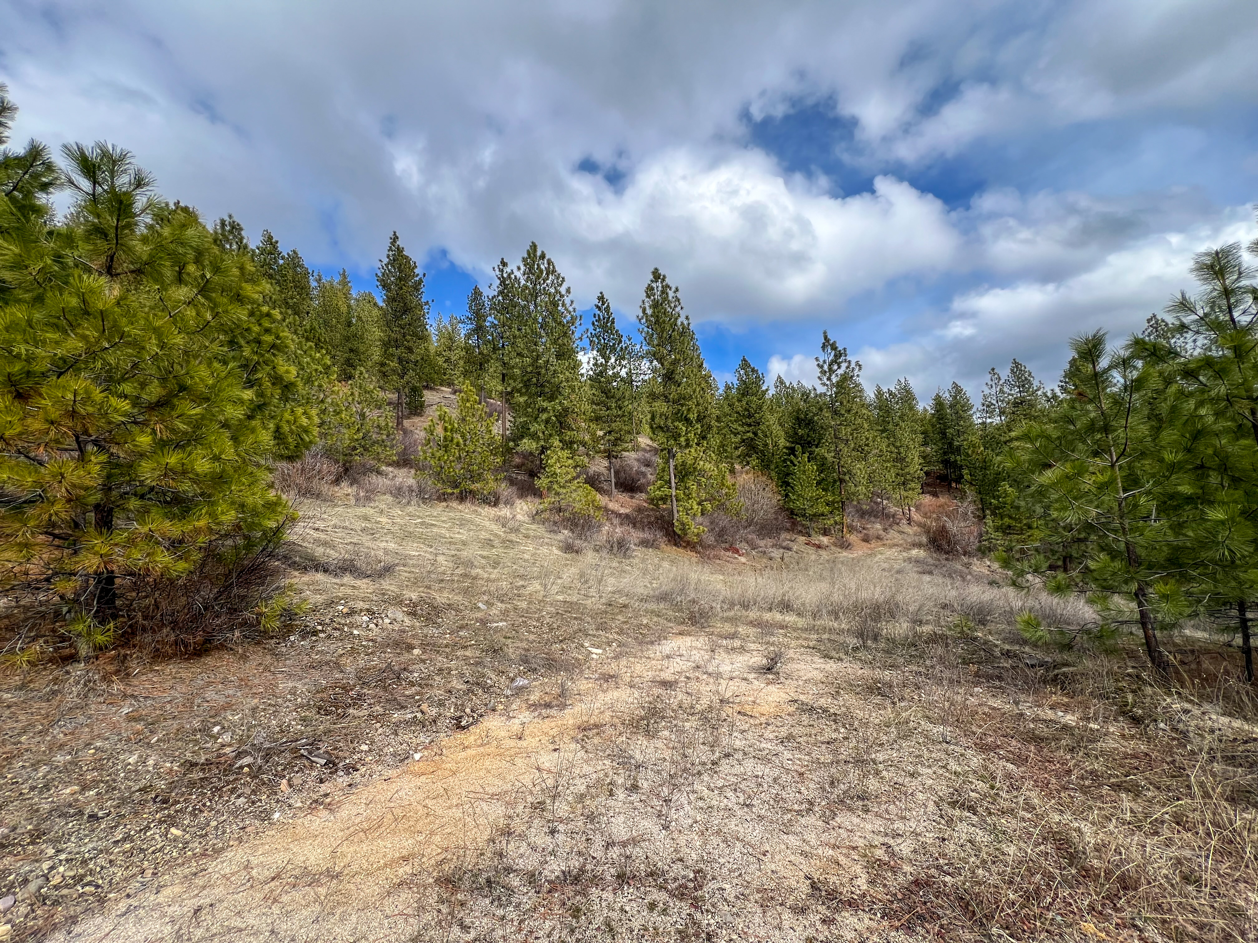 Valley, Washington, 99181, United States, ,Land,For Sale,1979391