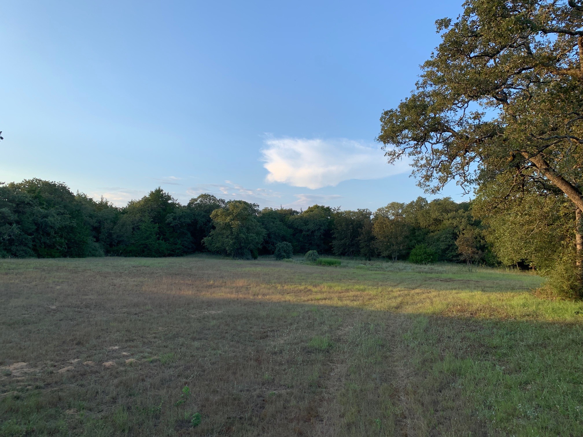 5632 County Road 317, Caldwell, Texas, 77836, United States, ,Land,For Sale,5632 County Road 317,1626286