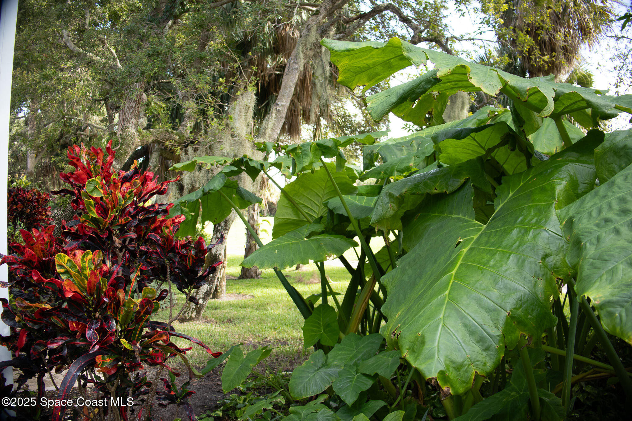 Melbourne Beach, Florida, 32951, United States, 3 Bedrooms Bedrooms, ,3 BathroomsBathrooms,Residential,For Sale,1988623