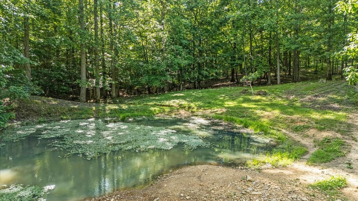 Sparta, Tennessee, 38583, United States, ,Land,For Sale,2006583