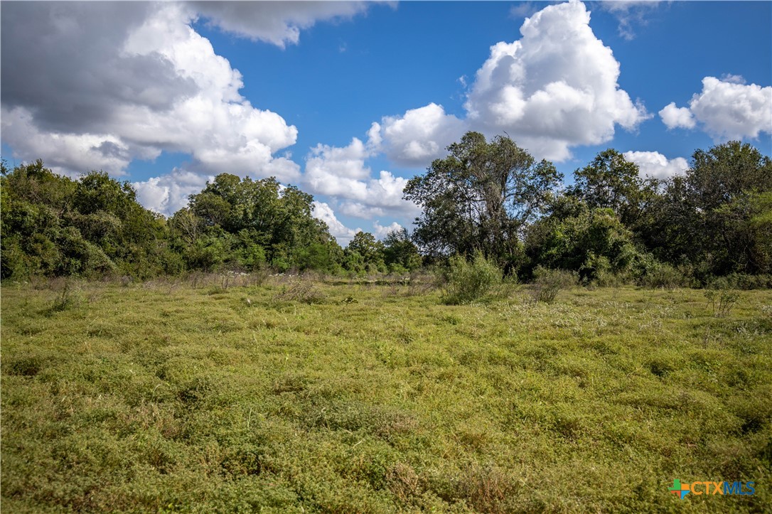 Cuero, Texas, 77954, United States, ,Residential,For Sale,1949163