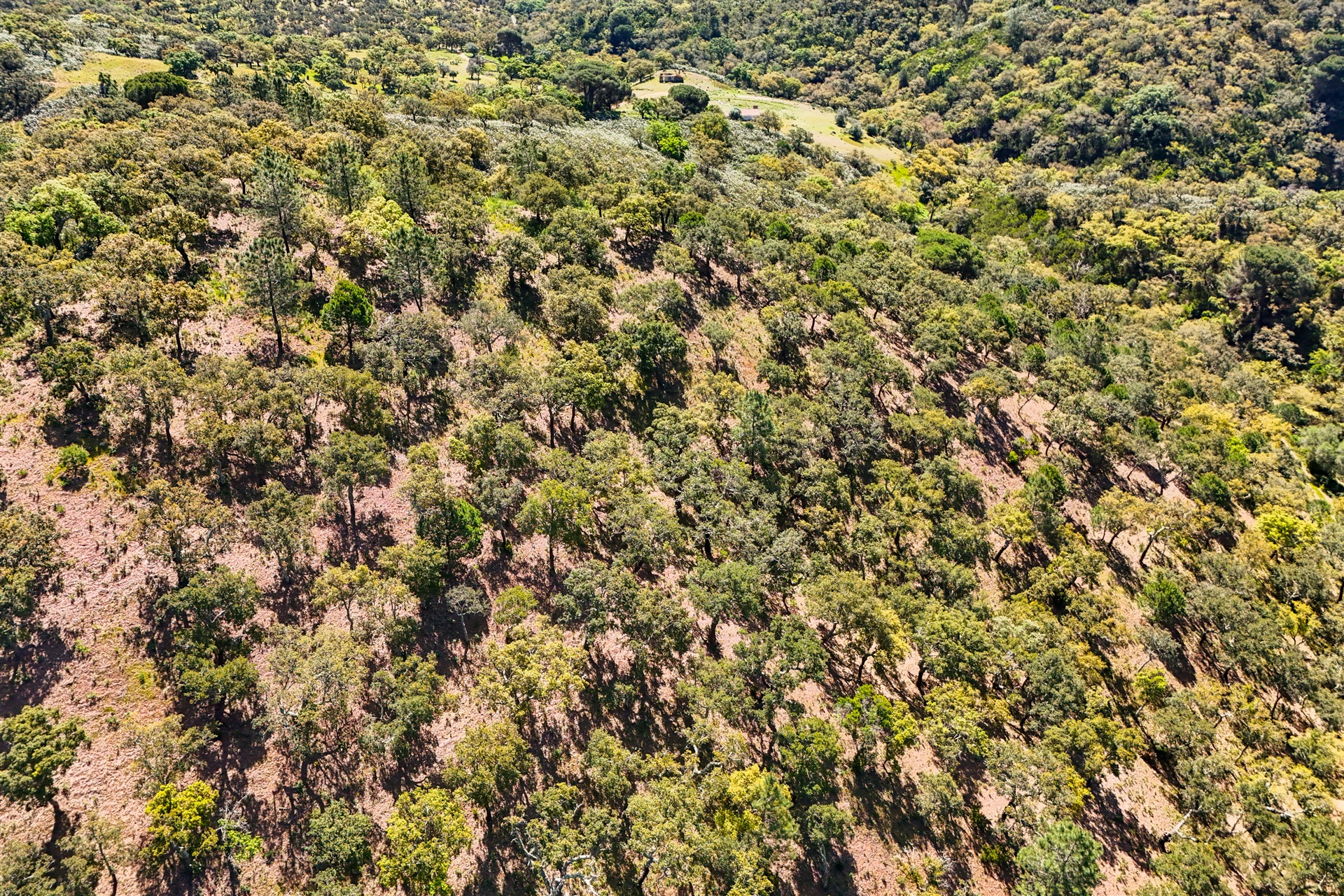  Real estate land for Sale - 物件實景
