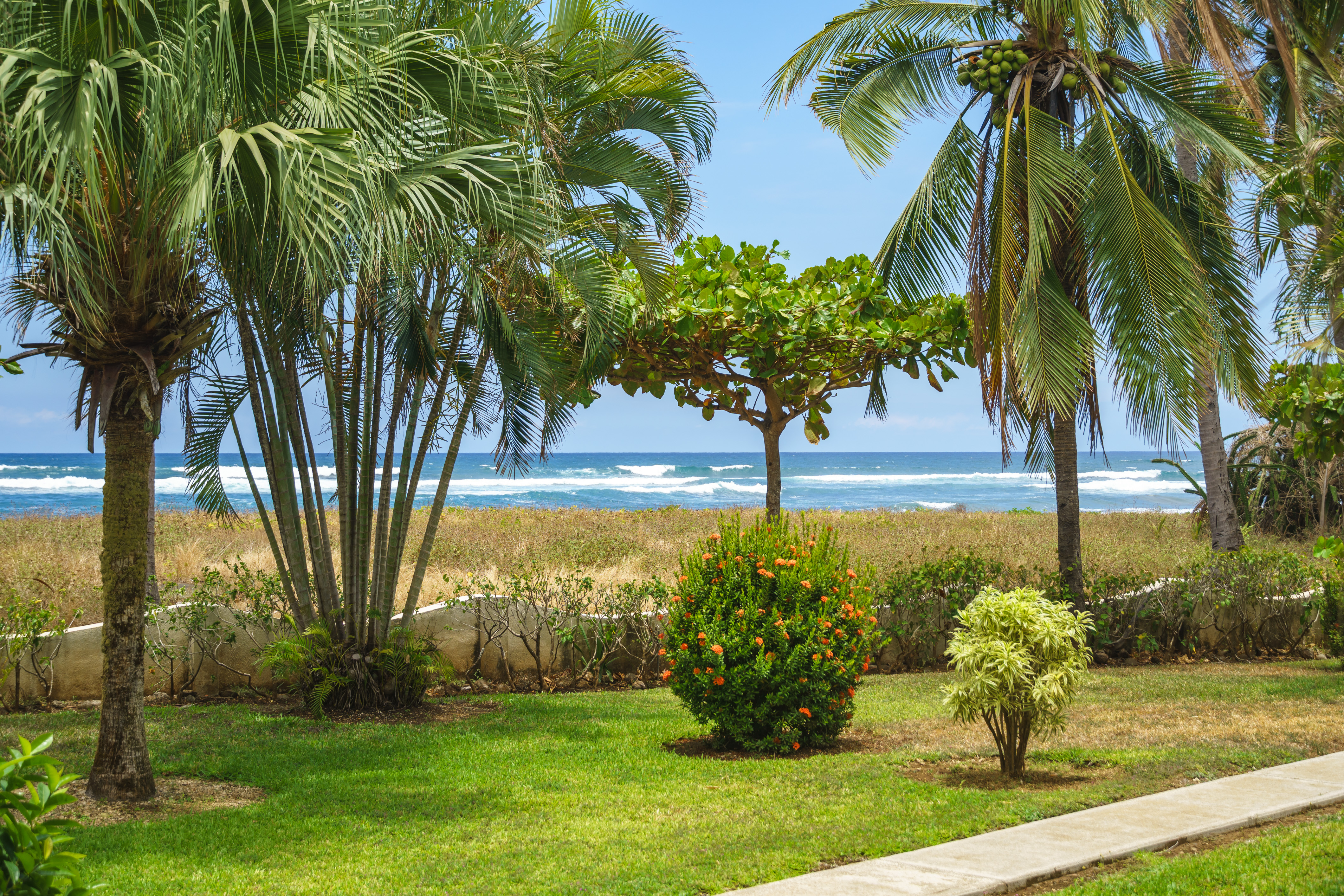 Junquillal, Guanacaste, CR, 2 Bedrooms Bedrooms, ,2 BathroomsBathrooms,Residential,For Sale,1792792