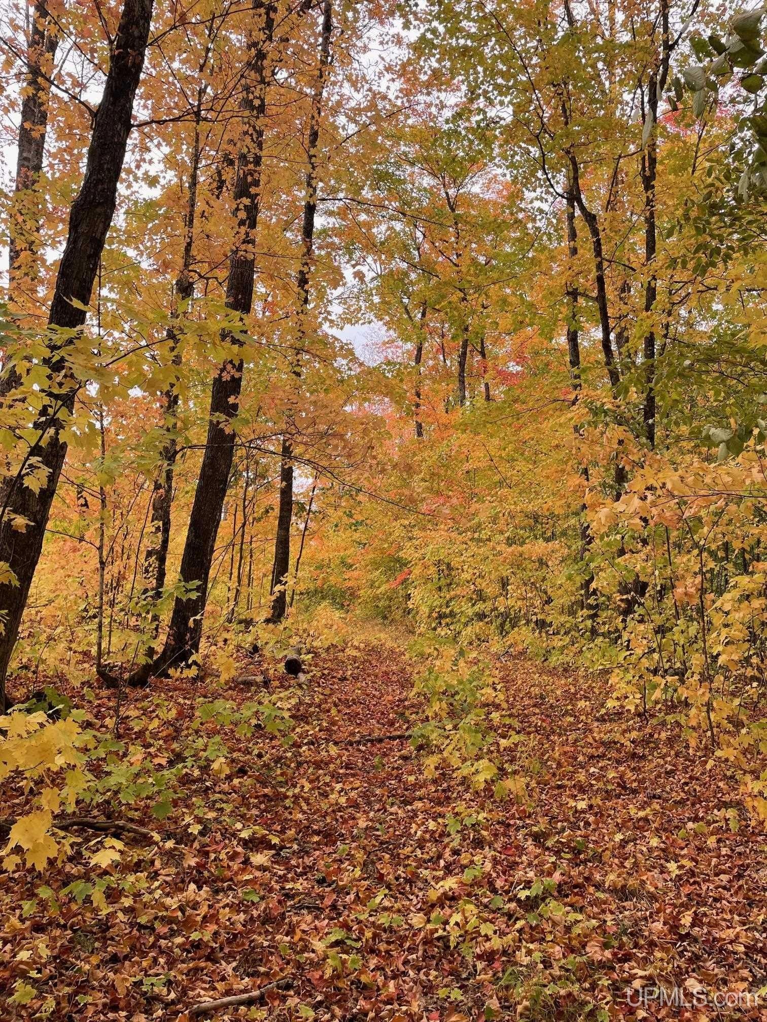 Ishpeming, Michigan, 49849, United States, ,Land,For Sale,2017731
