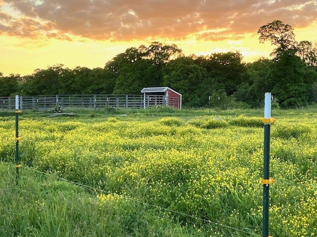 Bentonville, Arkansas, 72712, United States, ,Land,For Sale,1993490