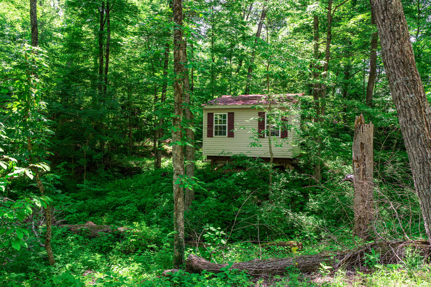 Union, Kentucky, 41091, United States, 3 Bedrooms Bedrooms, ,4 BathroomsBathrooms,Residential,For Sale,1896368