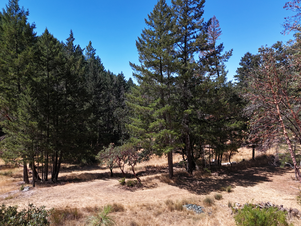 Willits, California, 95490, United States, 2 Bedrooms Bedrooms, ,2 BathroomsBathrooms,Residential,For Sale,1943077