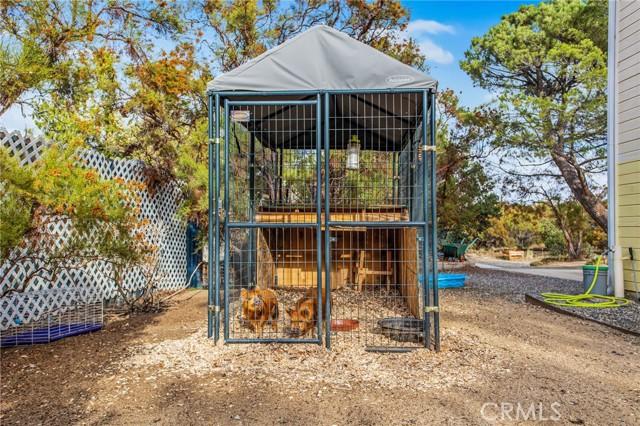 Anza, California, 92539, United States, 4 Bedrooms Bedrooms, ,3 BathroomsBathrooms,Residential,For Sale,1964890