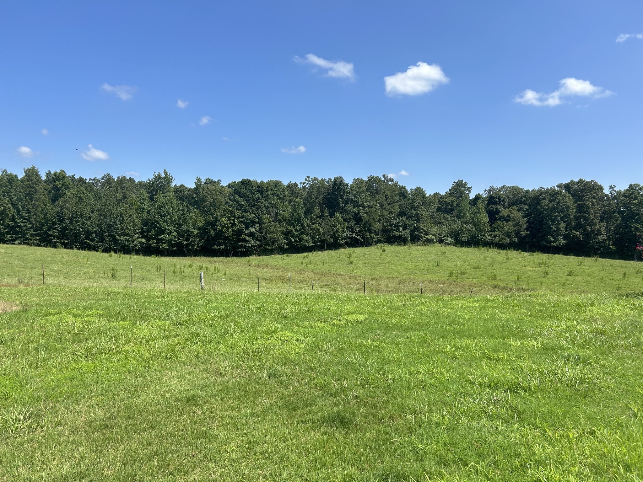 Iron City, Tennessee, 38463, United States, 4 Bedrooms Bedrooms, ,3 BathroomsBathrooms,Residential,For Sale,1737855