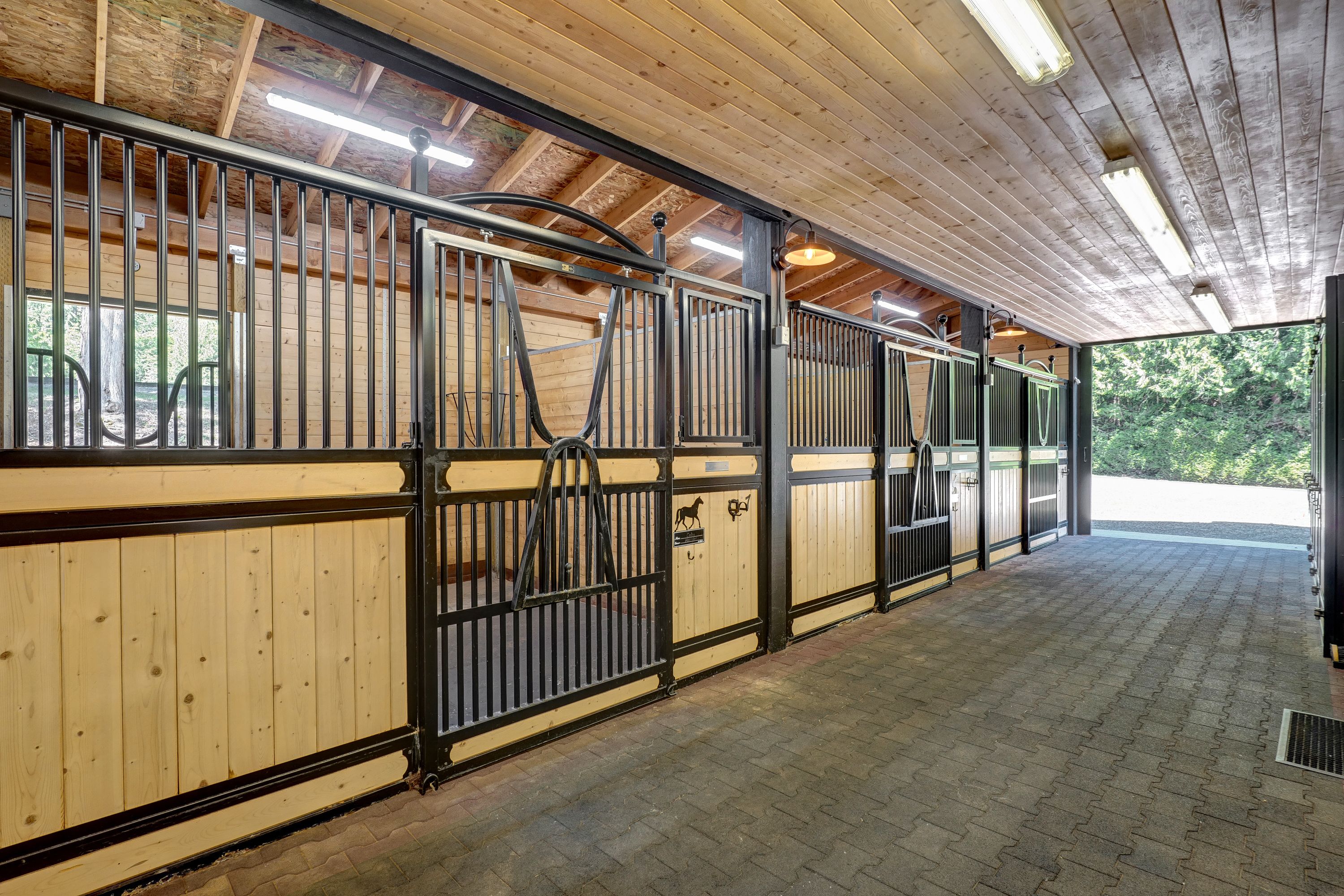 Koru Equestrian  A Legacy of Elegance & Equine Excellence - 物件實景