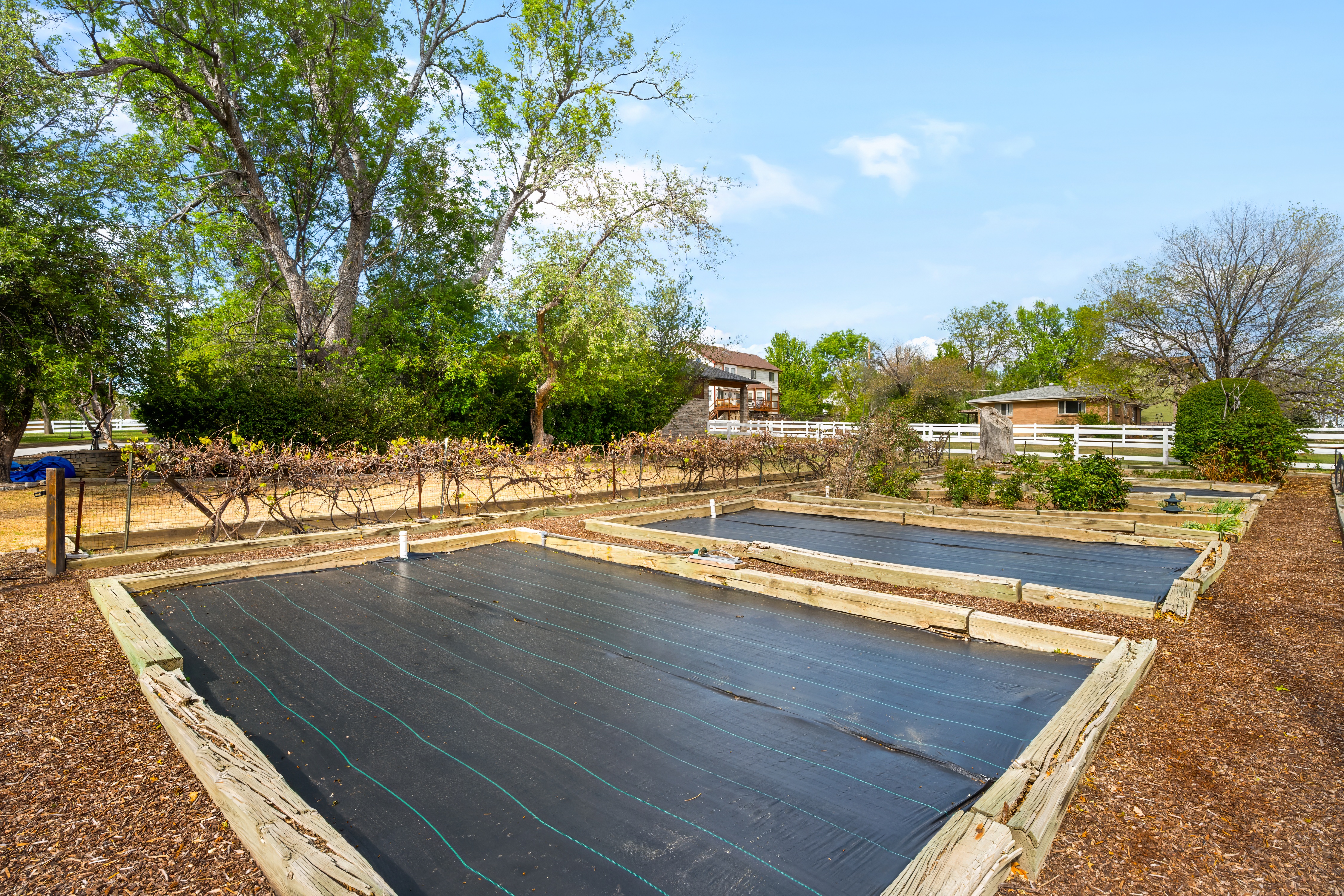  Over 2 Acre Estate With Unobstructed Mountain Views - 物件實景