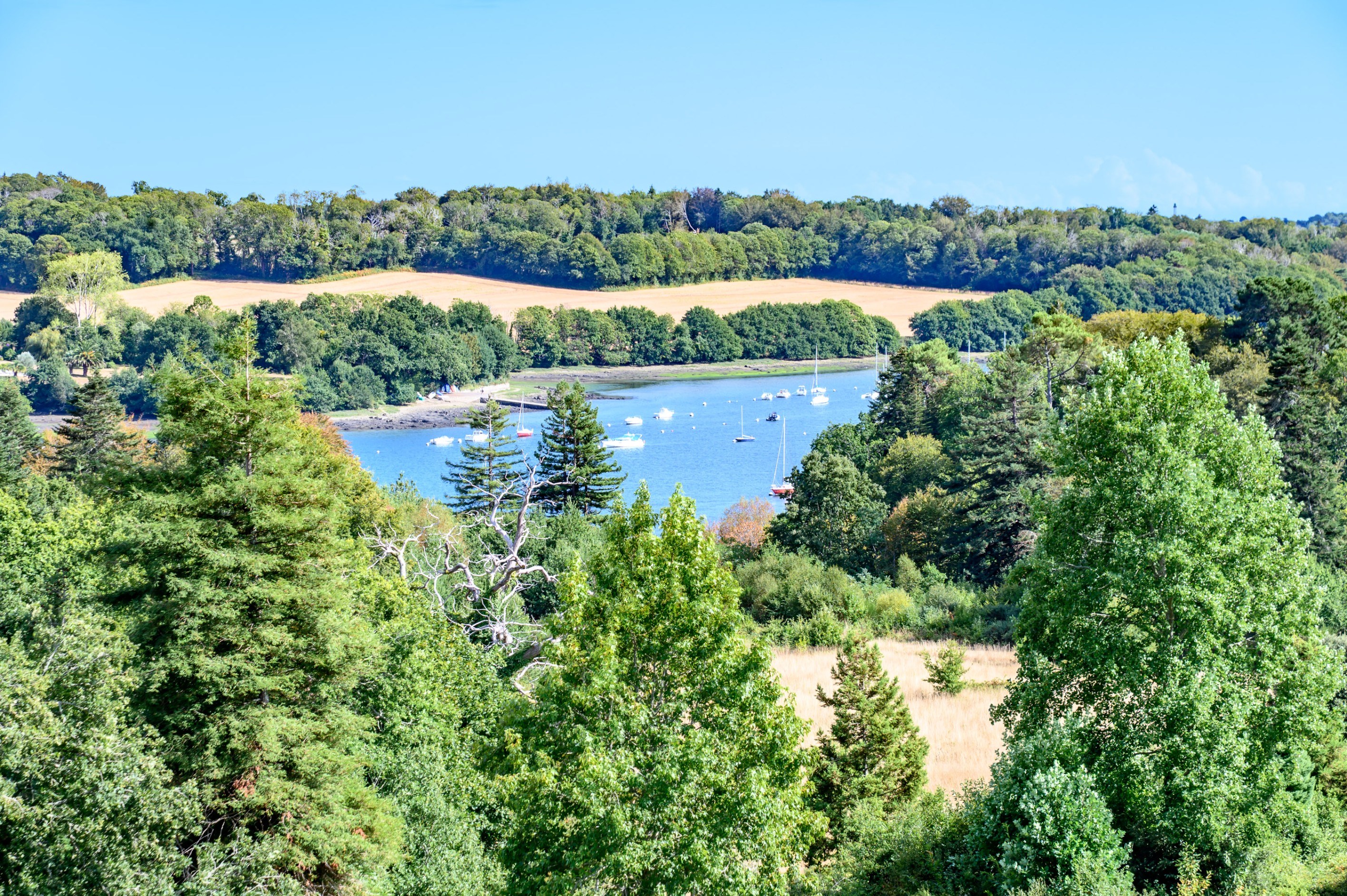  Near Quimper ; Magnificent castle to renovated in river bank; - 物件實景