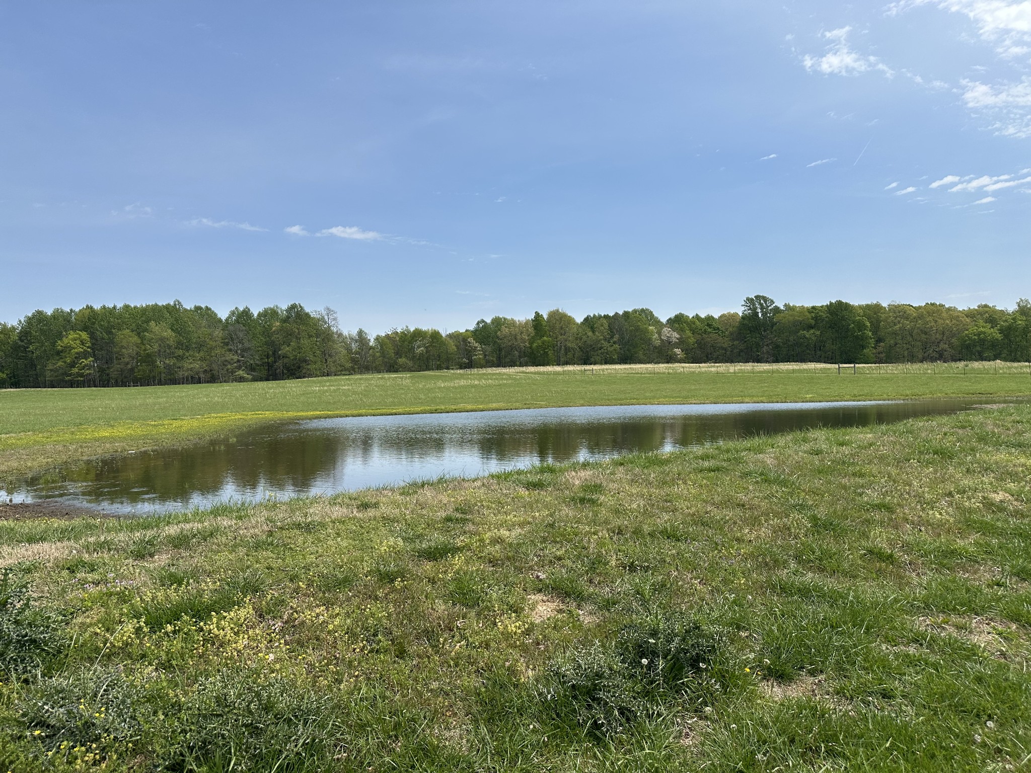 Lawrenceburg, Tennessee, 38464, United States, 3 Bedrooms Bedrooms, ,1 BathroomBathrooms,Residential,For Sale,1767762