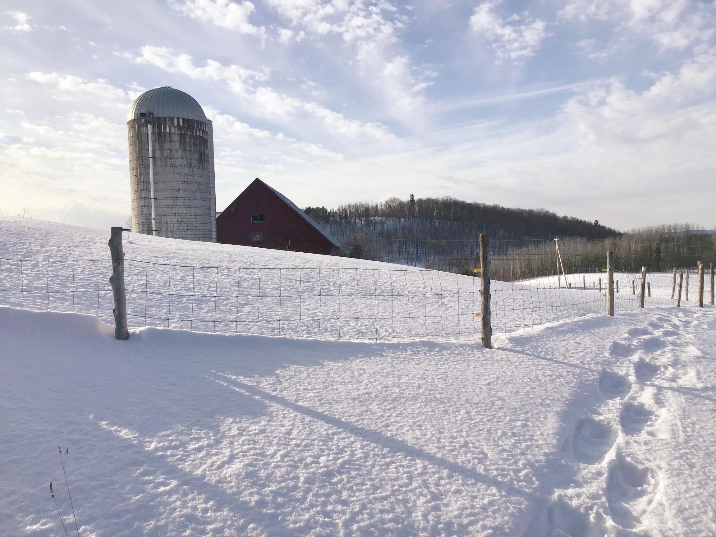 Derby, Vermont, 05829, United States, ,Residential,For Sale,1998770