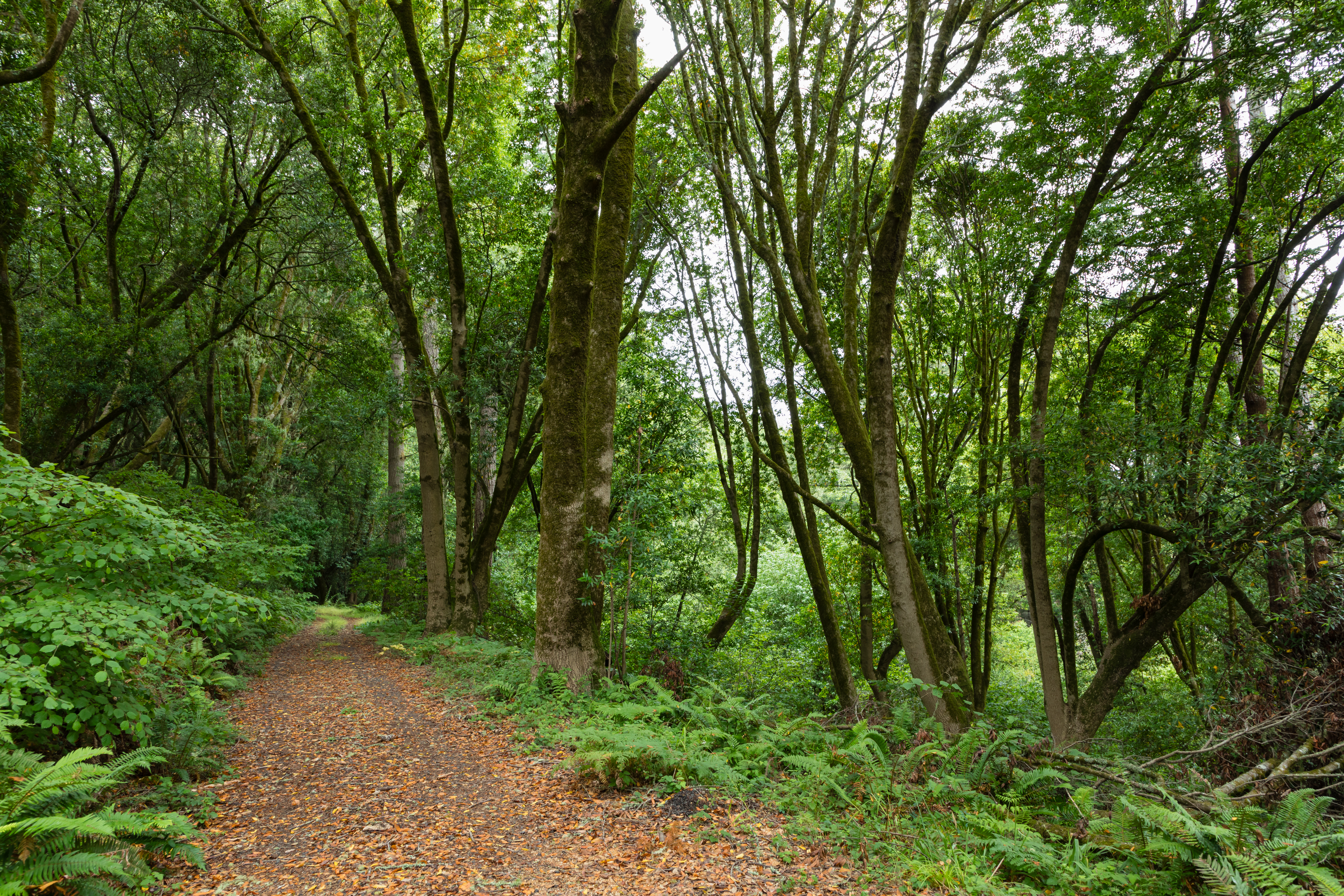  Find your Peace  in the Embrace of Nature - 物件實景
