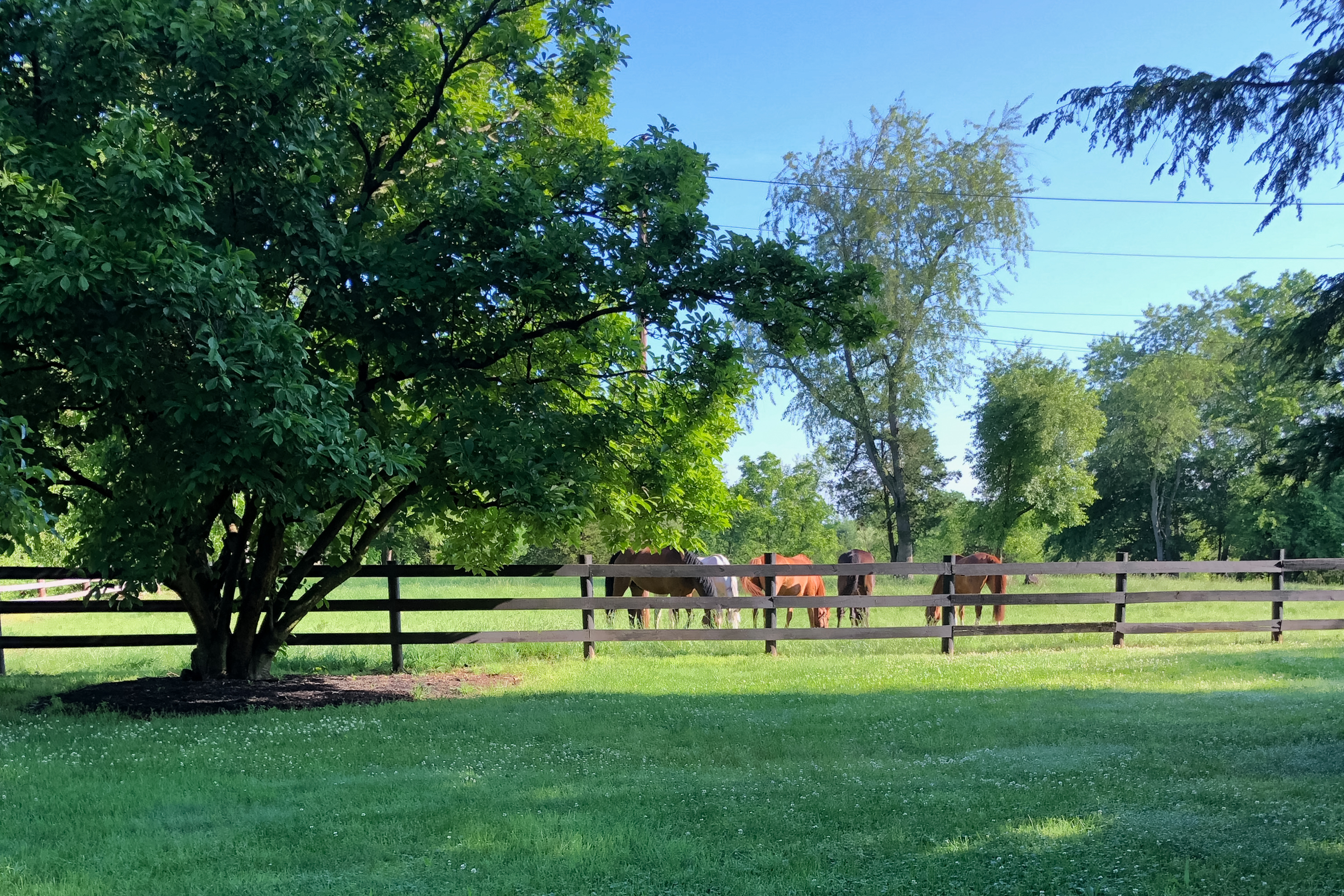  Turn-key Exceptional Princeton Area Equestrian Estate and Preserved Farm - 物件實景