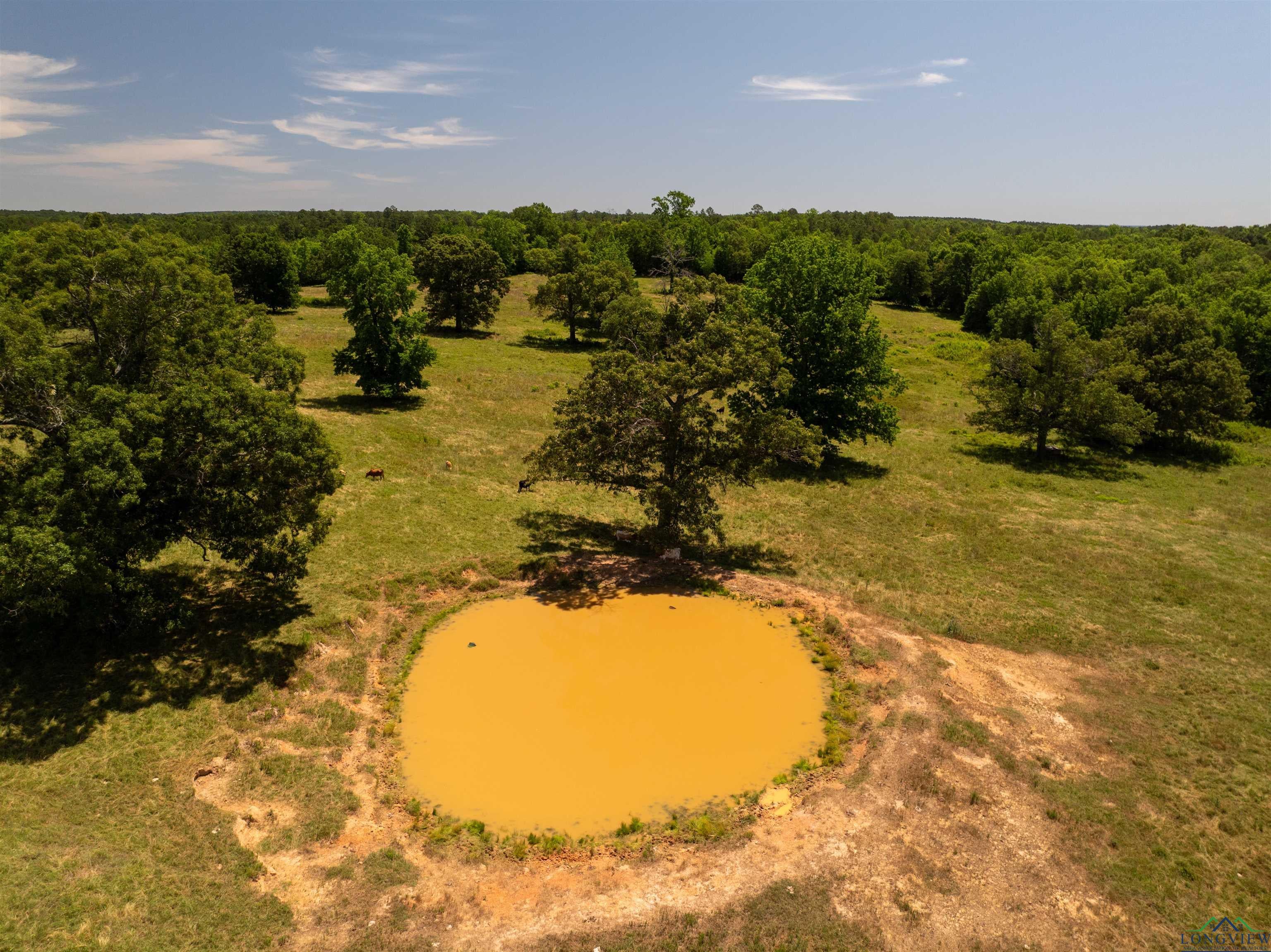 7557 FM 248, Lodi, Texas, 75564, United States, ,Residential,For Sale,7557 FM 248,1614560