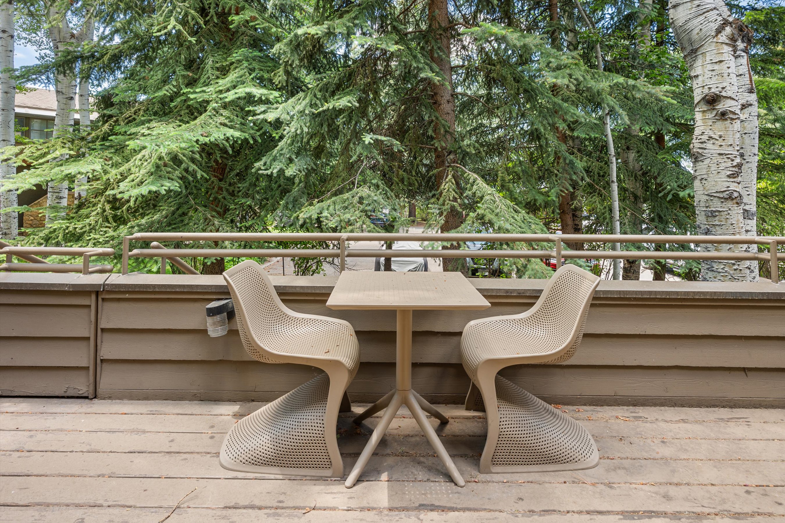  100 North 8th Street, Aspen, CO 81611 - 物件實景