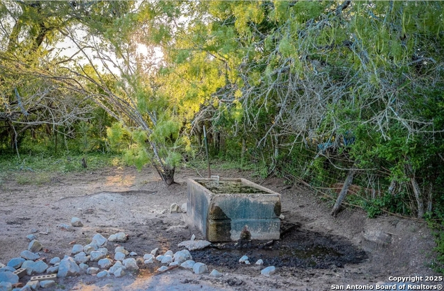 Beeville, Texas, 78102, United States, ,Land,For Sale,1988302