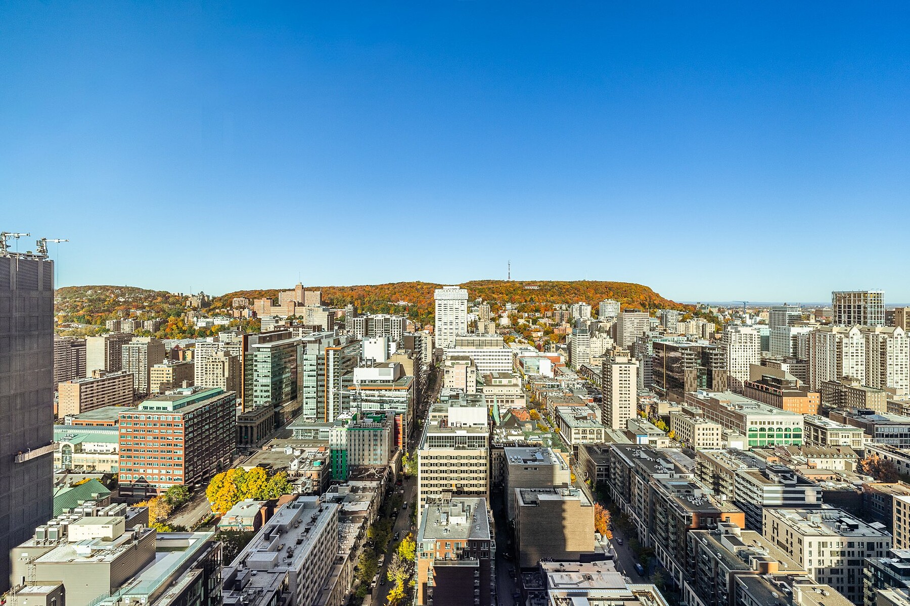  Ville-Marie, Montréal - 物件實景