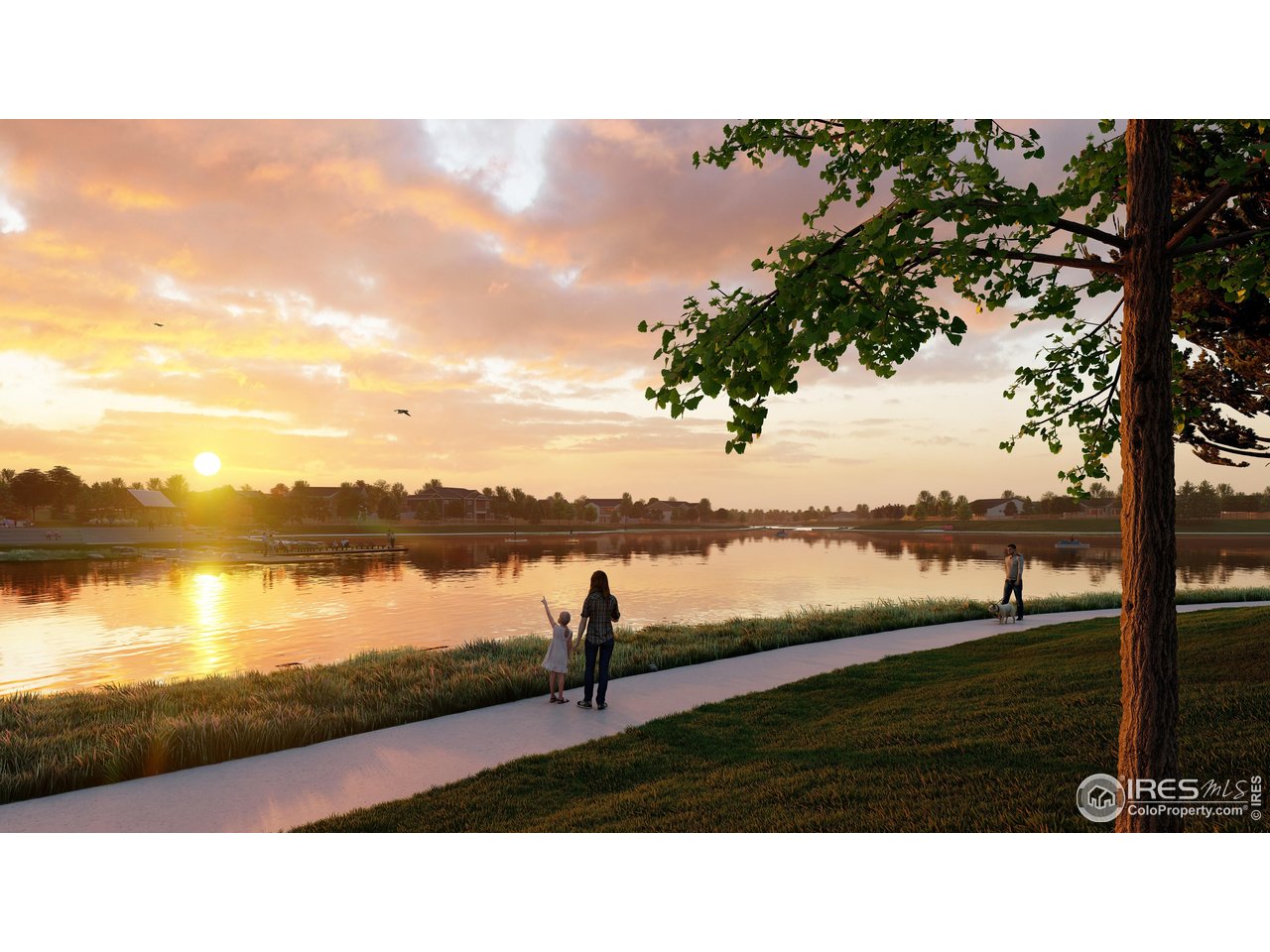 Timnath, Colorado, 80547, United States, 4 Bedrooms Bedrooms, ,4 BathroomsBathrooms,Residential,For Sale,1995701