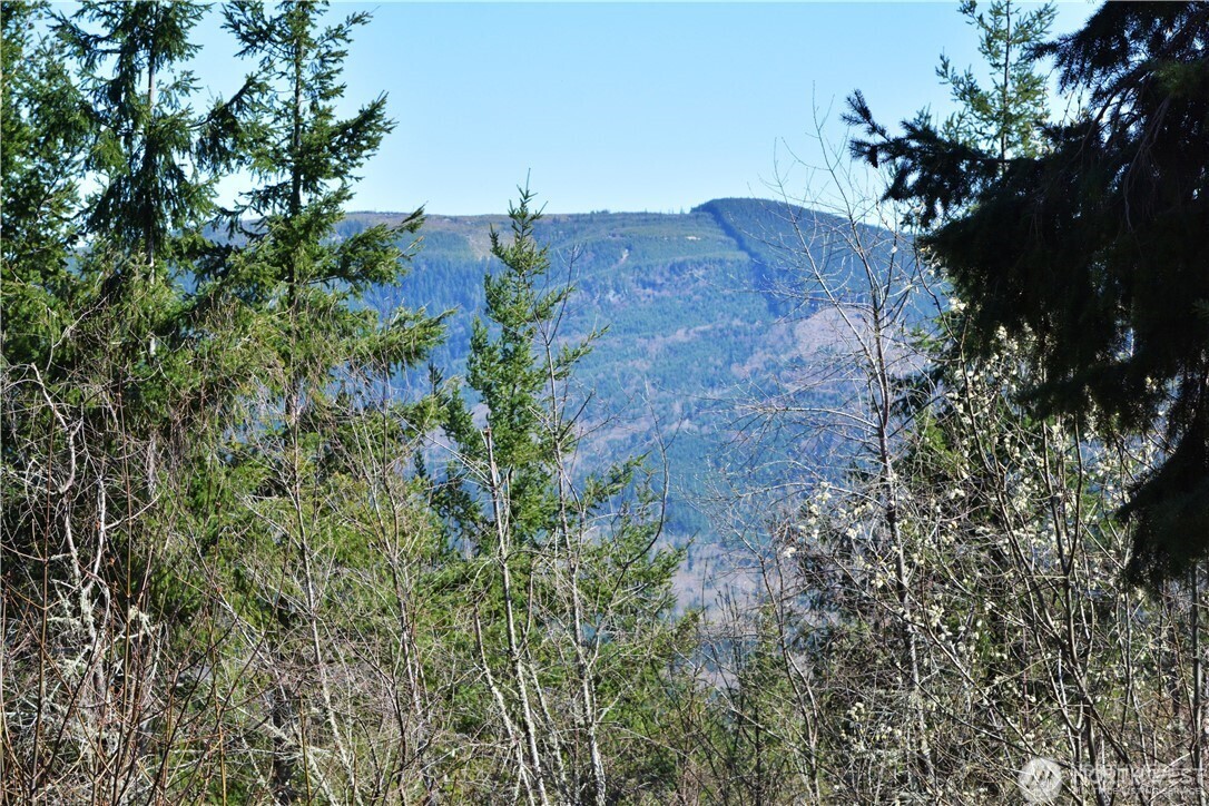 Bellingham, Washington, 98226, United States, ,Land,For Sale,1846536