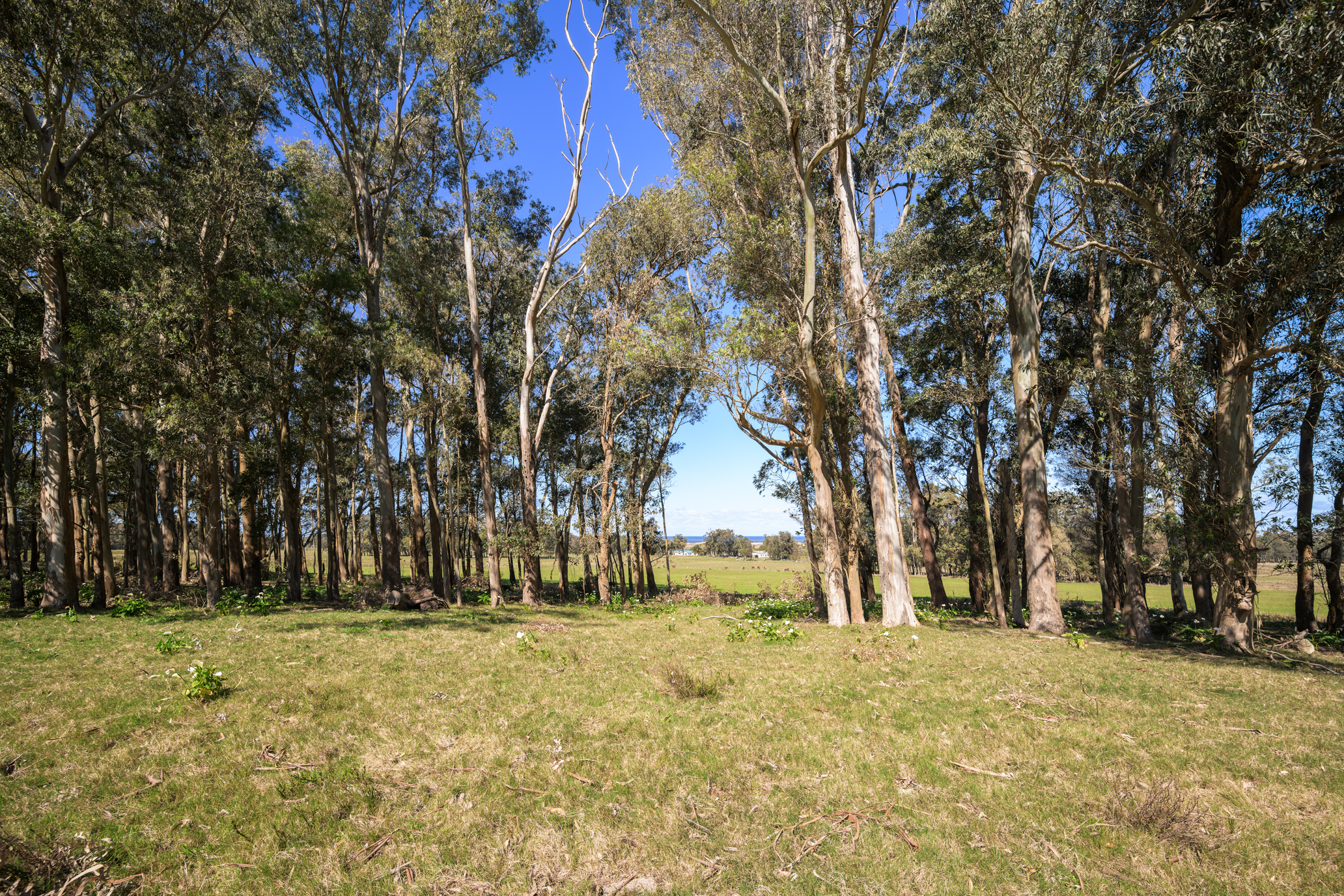  La Virazón  597-Hectare Oceanfront Estate in Rocha, Uruguay - 物件實景