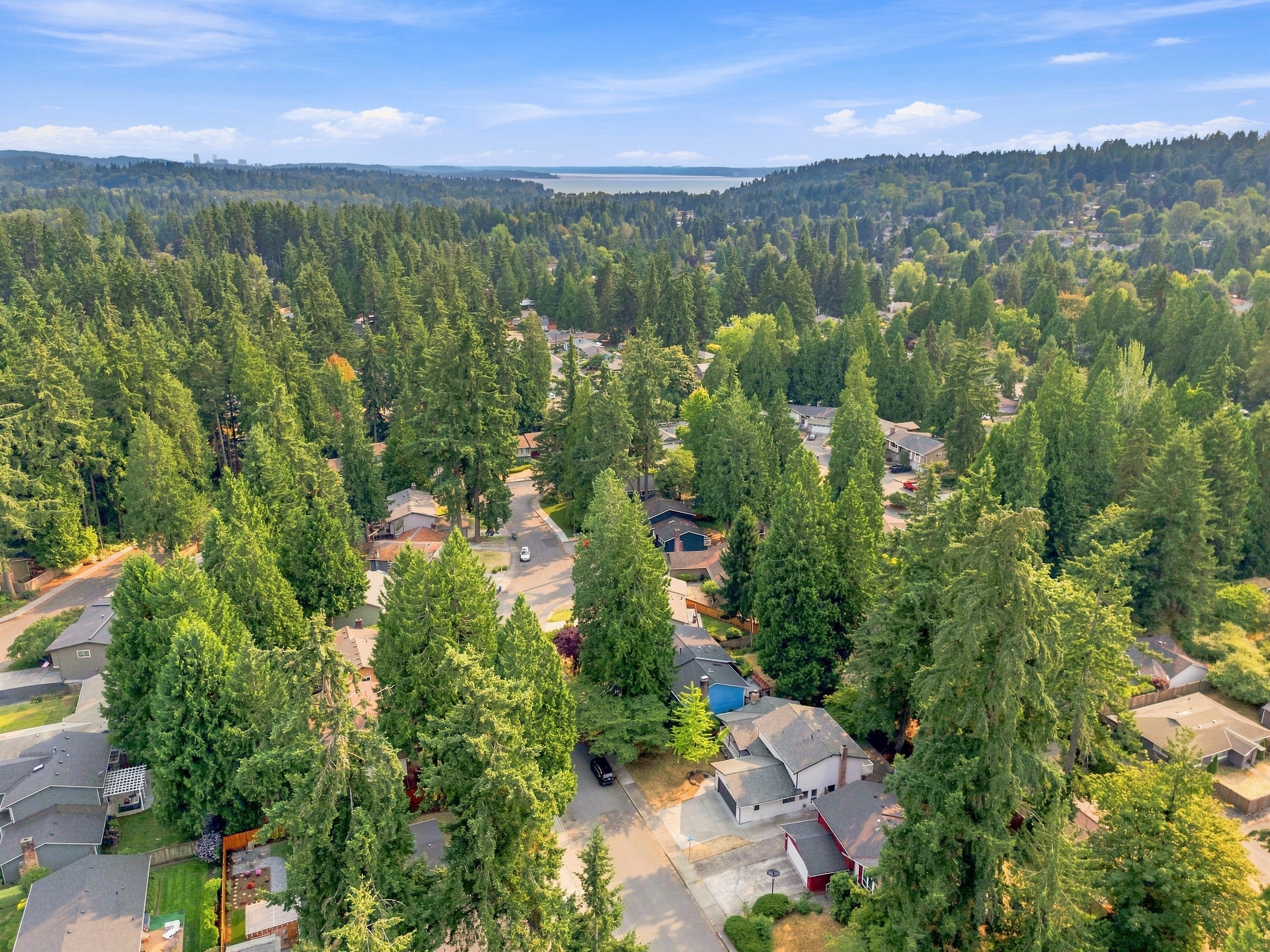  14433 106th Place NE, Kirkland, WA 98034 - 物件實景