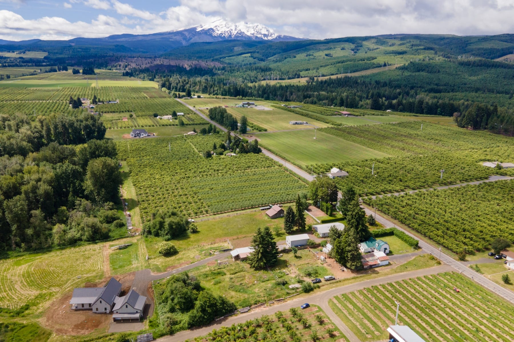  6455 TROUT CREEK RIDGE RD Mt Hood Prkdl, OR 97041 - 物件實景
