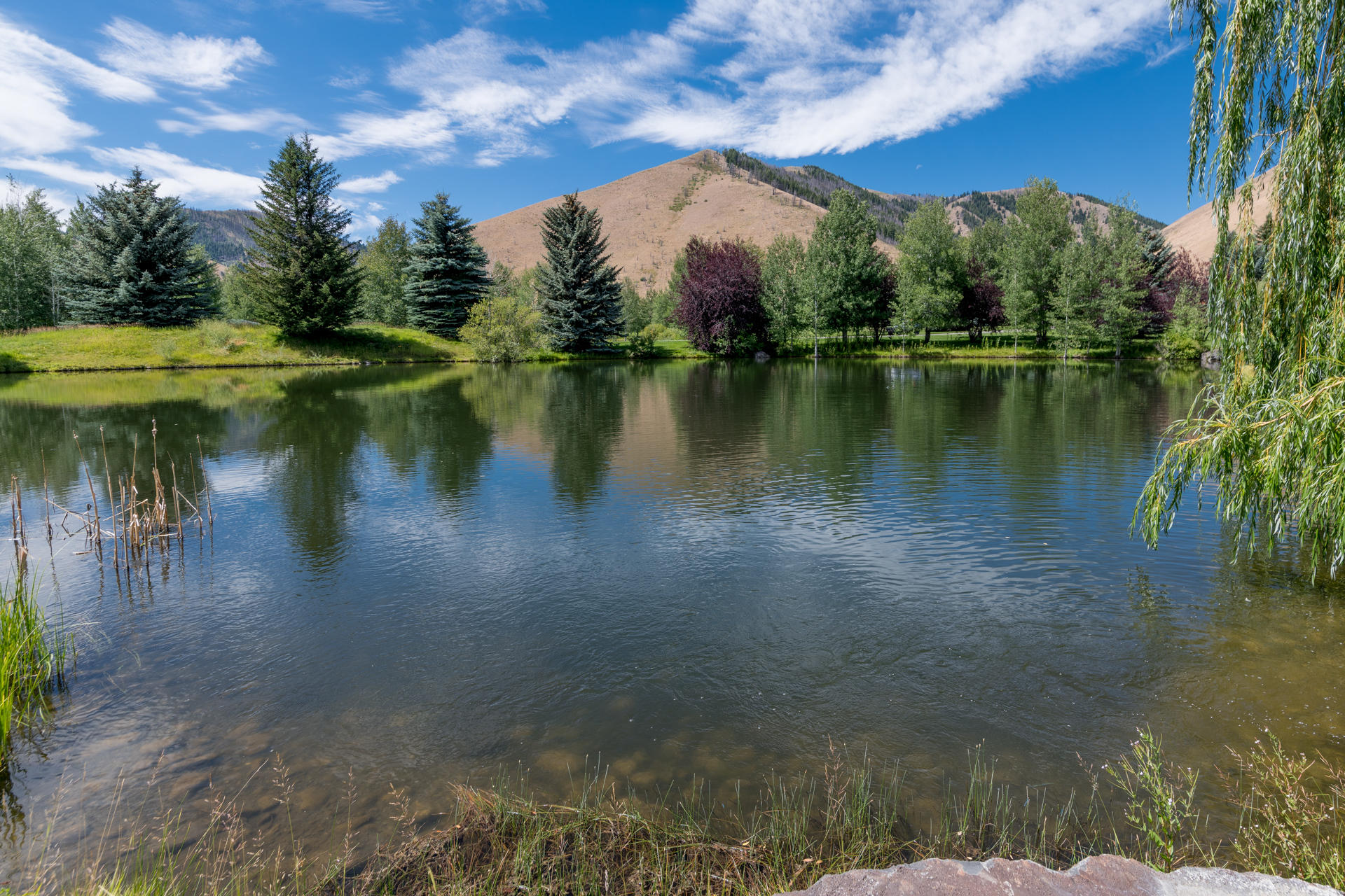 Blaine County, Idaho, 83333, United States, ,Land,For Sale,1794609