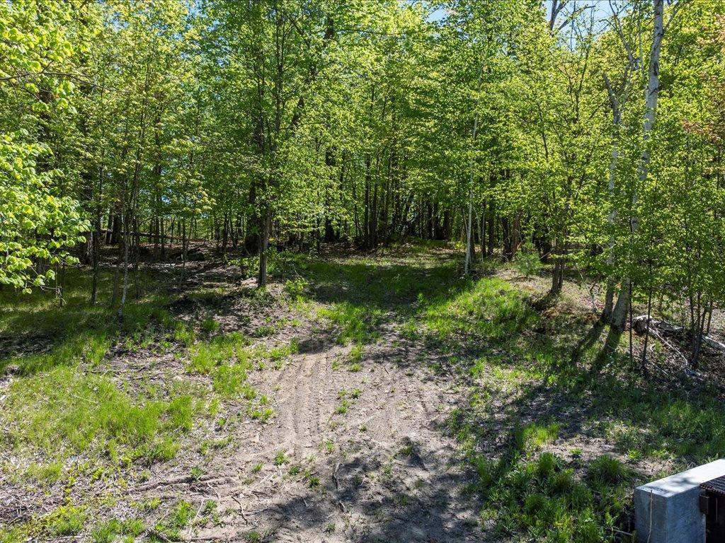 Cohasset, Minnesota, 55721, United States, ,Land,For Sale,1850344