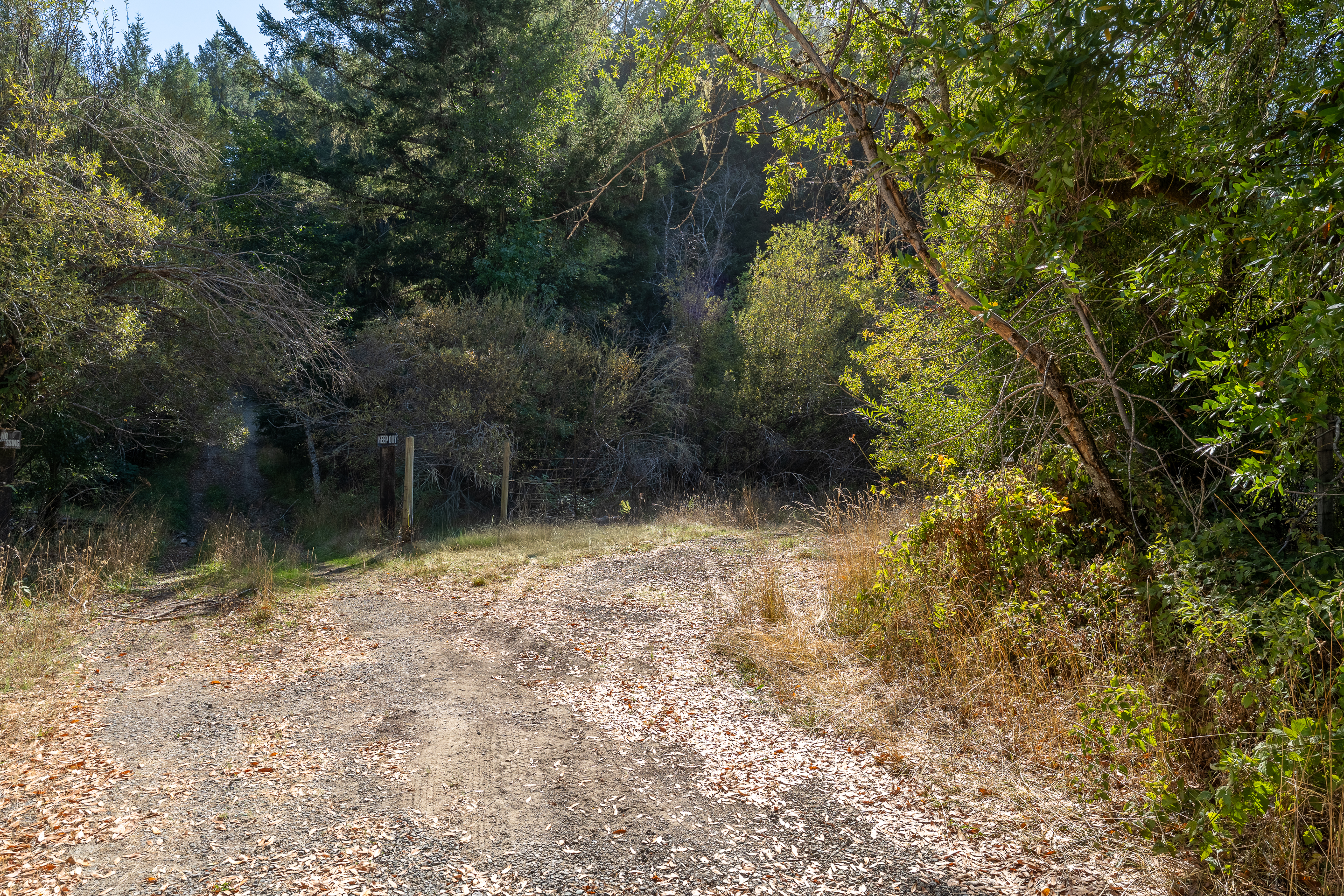 Willits, California, 95490, United States, 2 Bedrooms Bedrooms, ,2 BathroomsBathrooms,Residential,For Sale,1959114