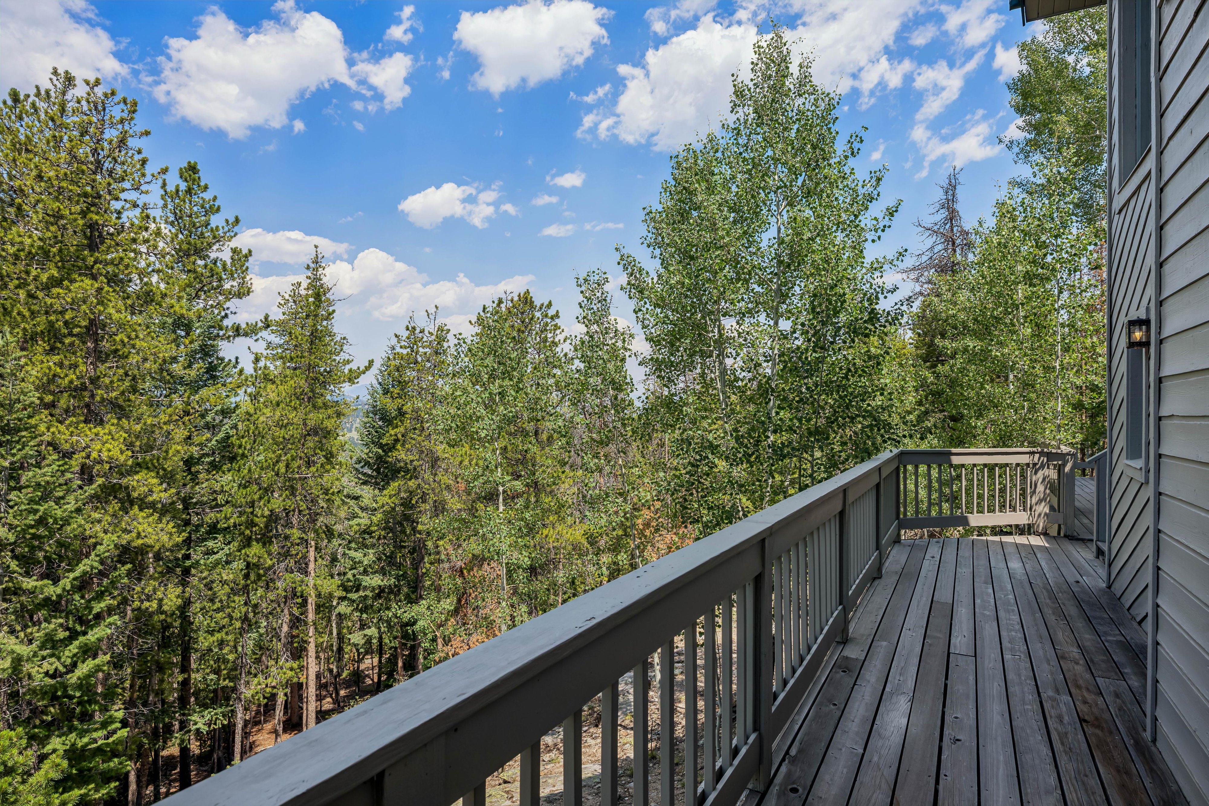  Colorado Mountain Living on 5.29 Wood/Sloping Acres - 物件實景