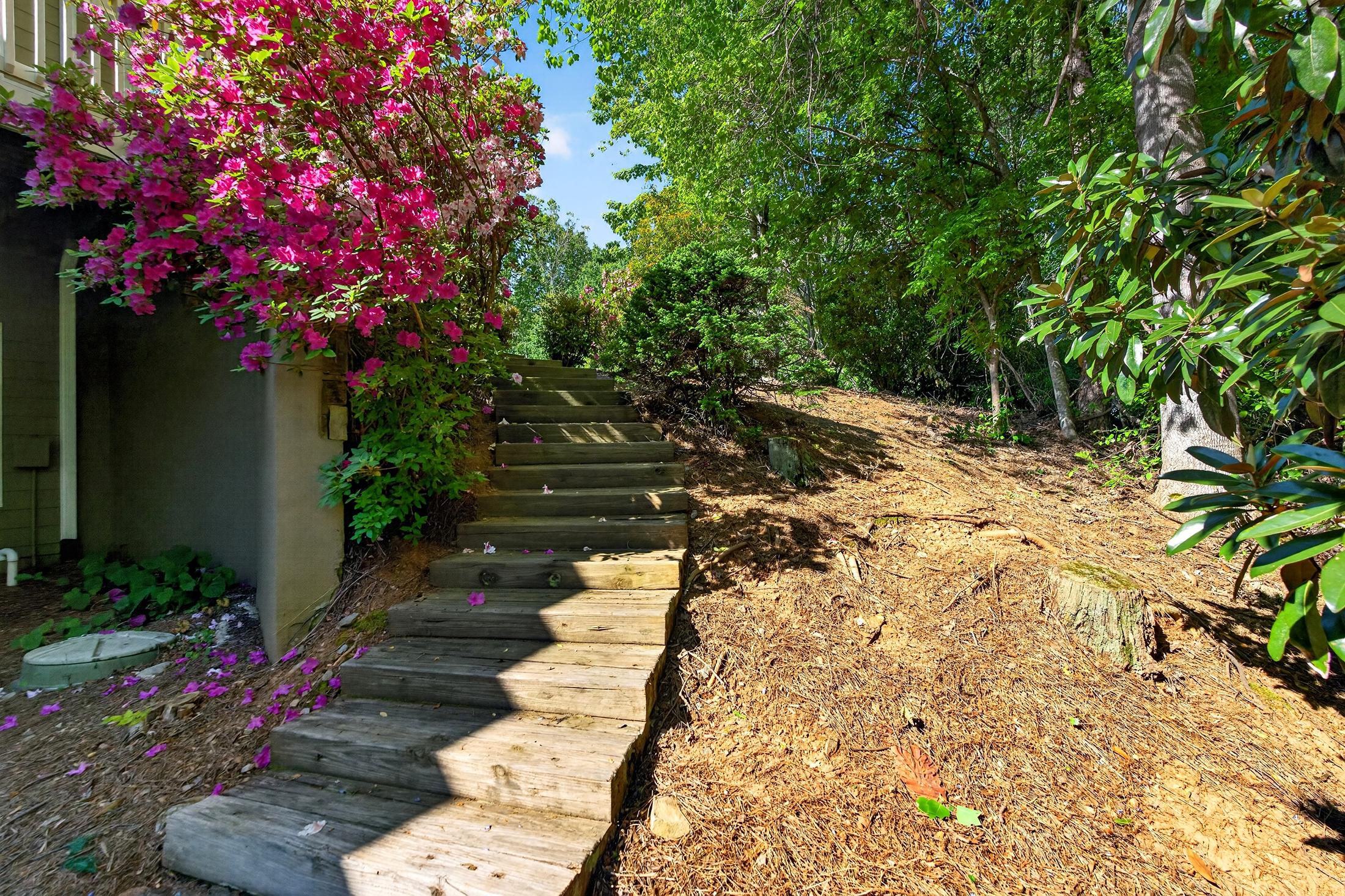  Beautifully Updated Ranch-Style Home in the Prestigious Achasta Golf Community - 物件實景