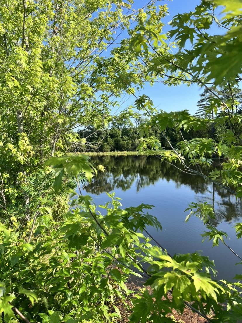 CLARKSVILLE, Arkansas, 72830, United States, 2 Bedrooms Bedrooms, ,1 BathroomBathrooms,Residential,For Sale,1994642