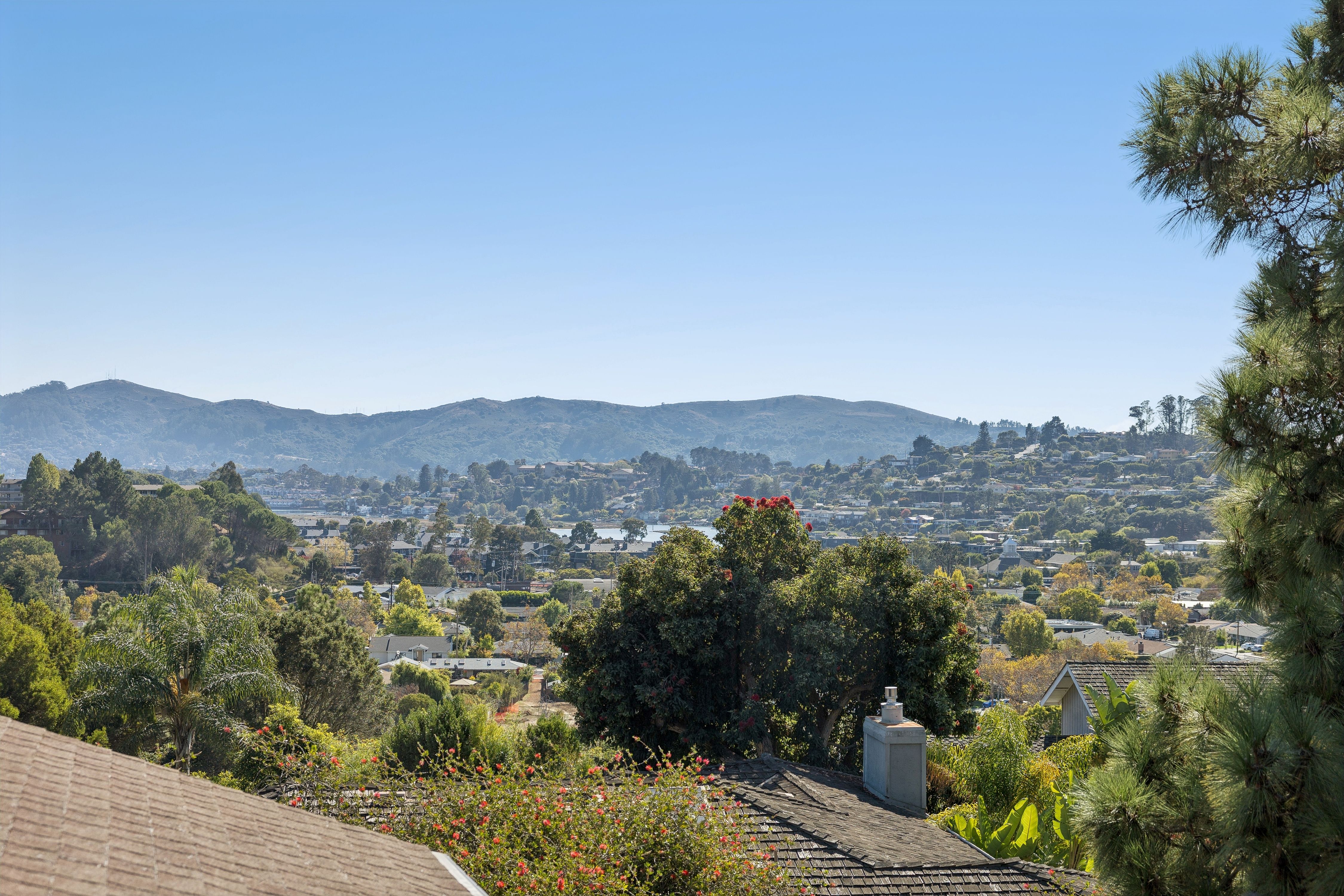  The Tiburon Home You Have Been Looking For - 物件實景