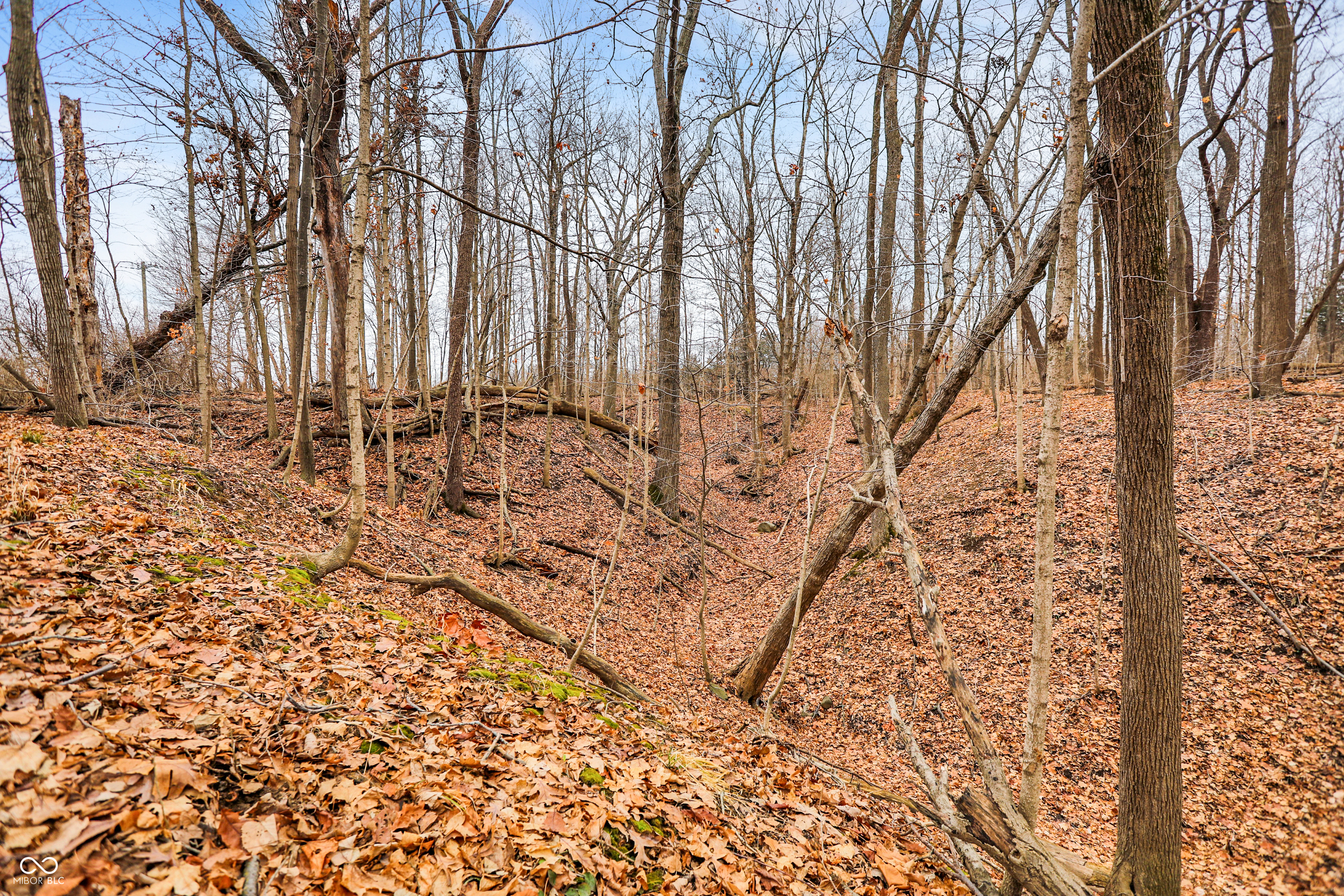 Arcadia, Indiana, 46030, United States, ,Residential,For Sale,2009642