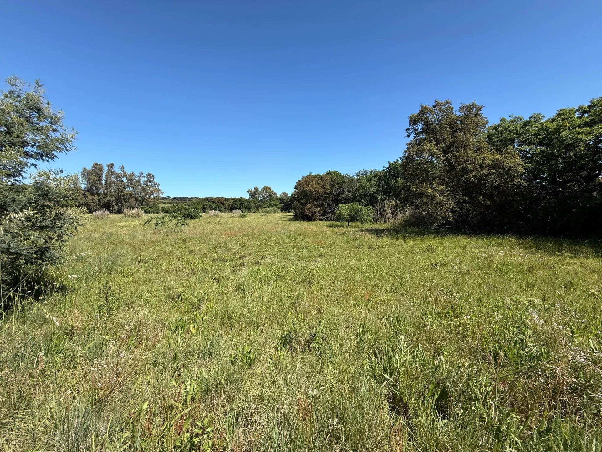 Ramatuelle, Provence-Alpes-Côte d?Azur, 83350, FR, ,Residential,For Sale,1645785
