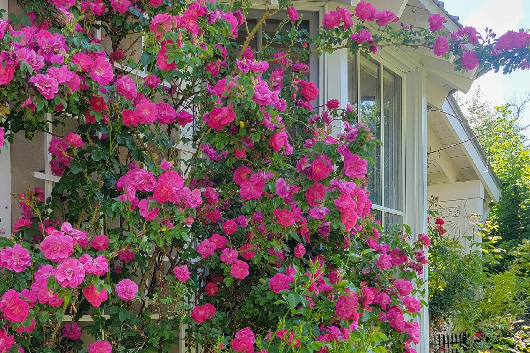  7 Camino De Pastores #A & #B - 物件實景