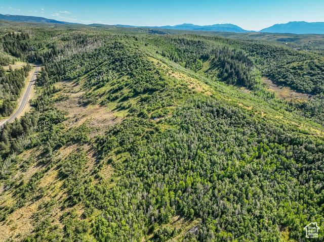 Kamas, Utah, 84036, United States, ,Residential,For Sale,1976580