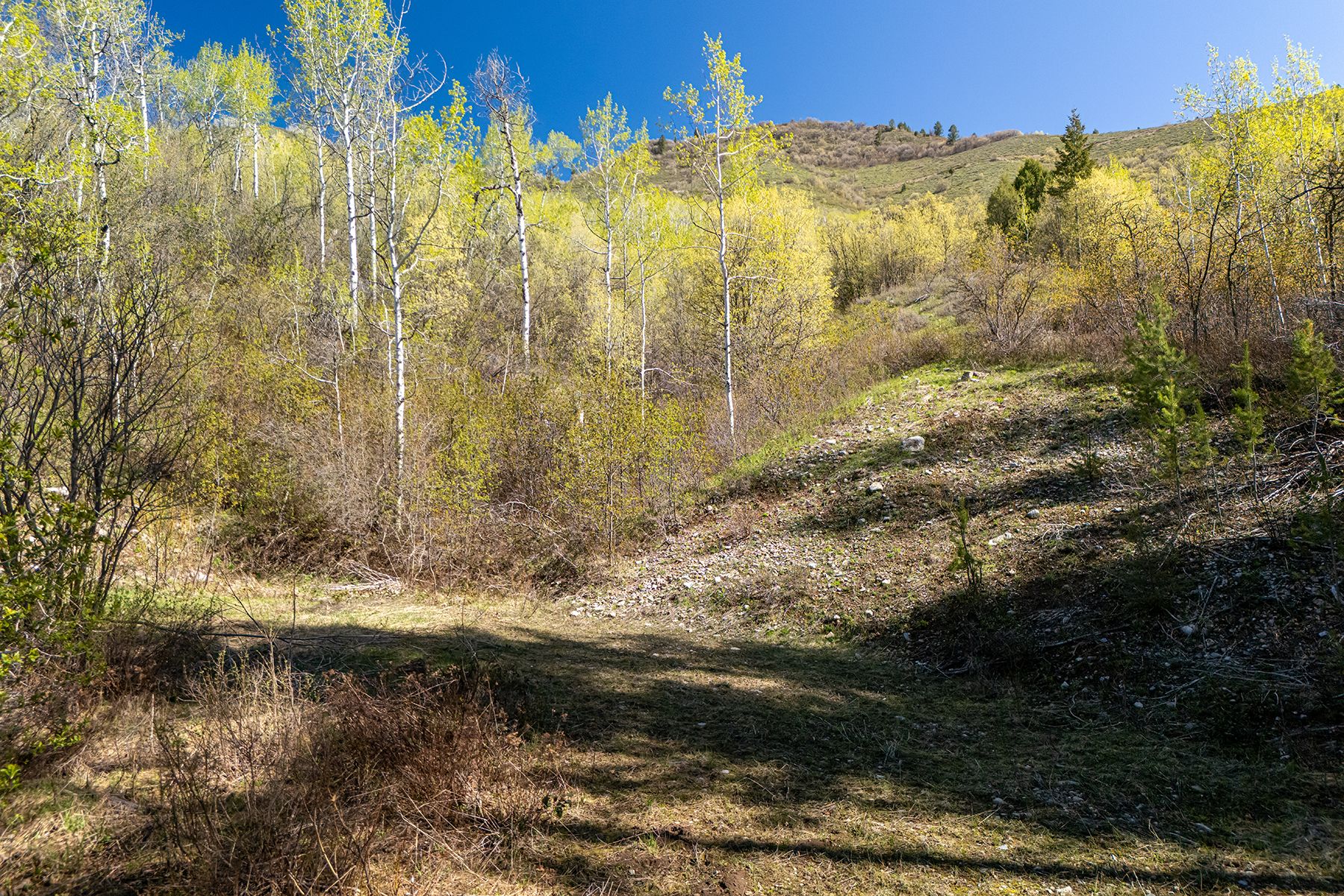  Property Overlooking the Palisades Reservoir - 物件實景